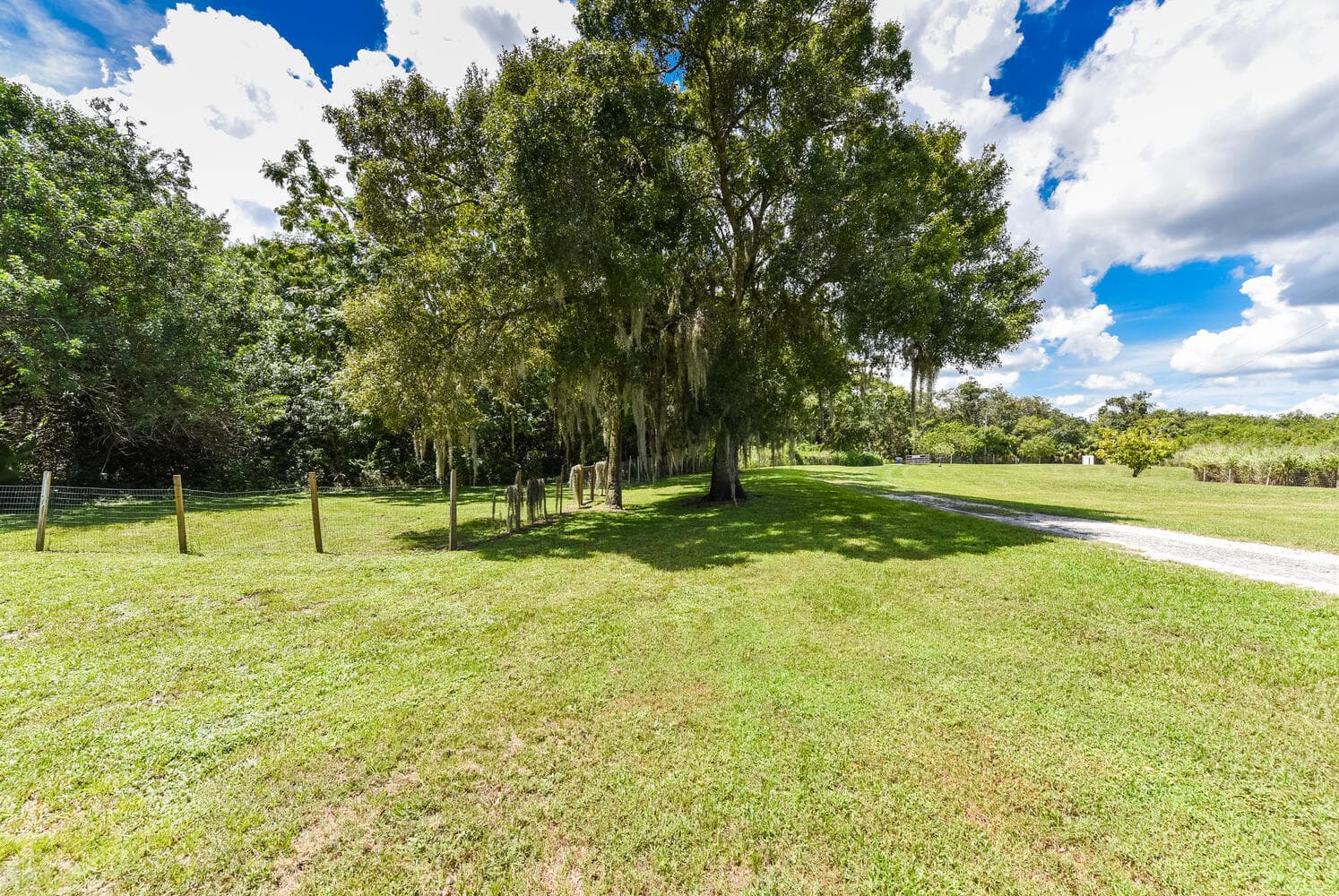 3646 S Jenkins Road, Fort Pierce, FL 34981 — photo 26 of 75