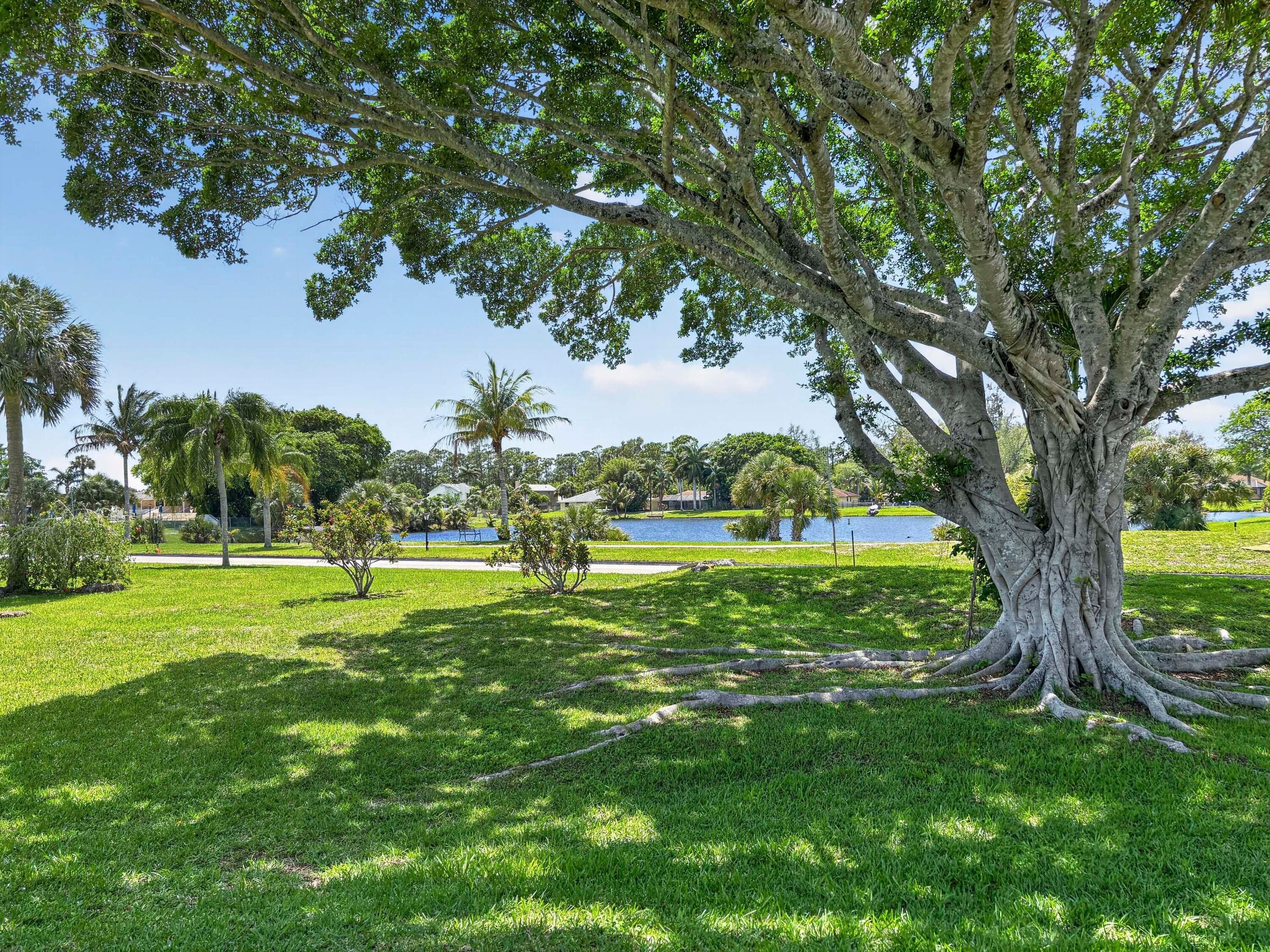 3 Greenway Vlg N 210, Royal Palm Beach, FL 33411 — photo 45 of 54