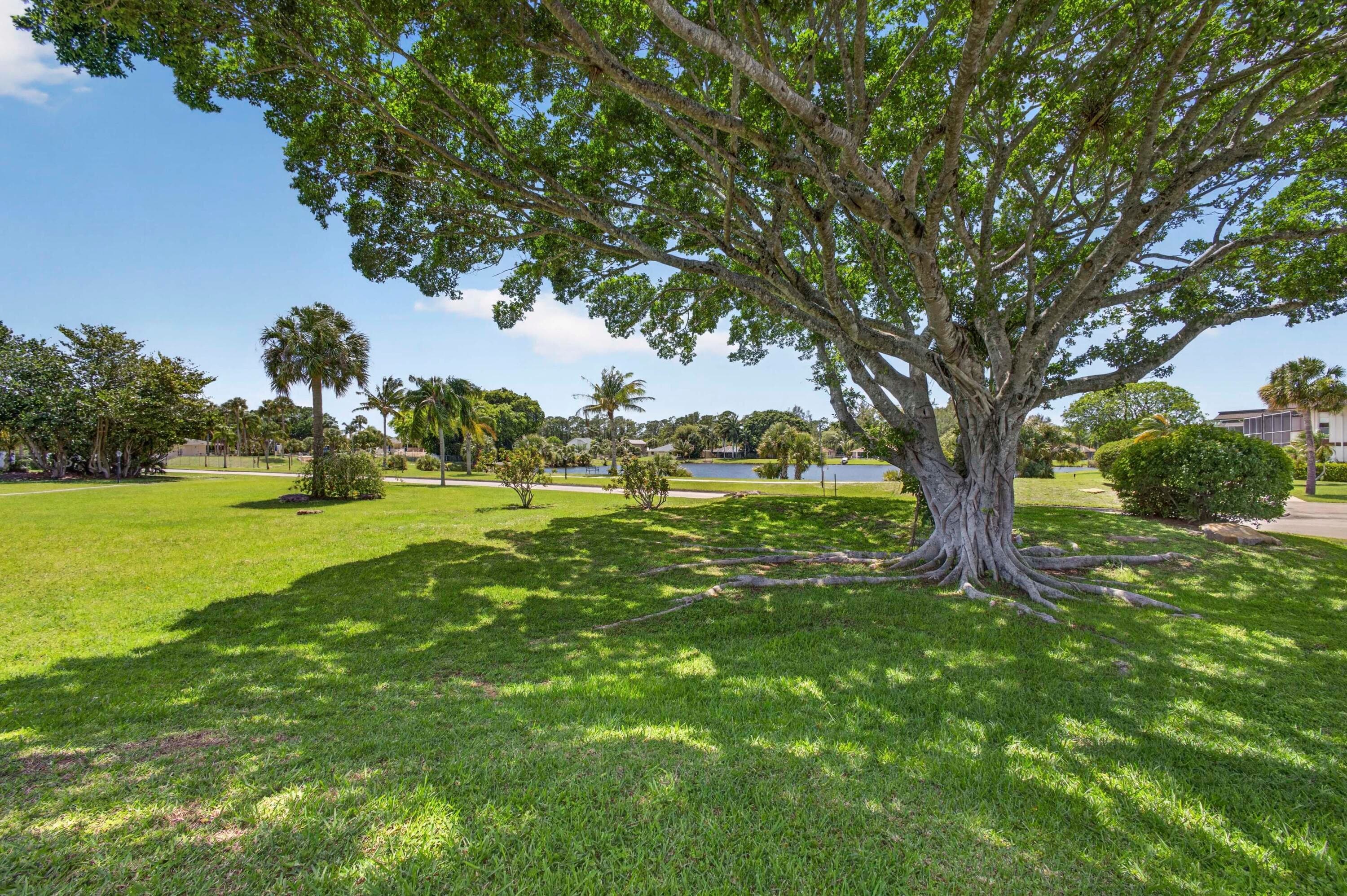 3 Greenway Vlg N 210, Royal Palm Beach, FL 33411 — photo 43 of 54