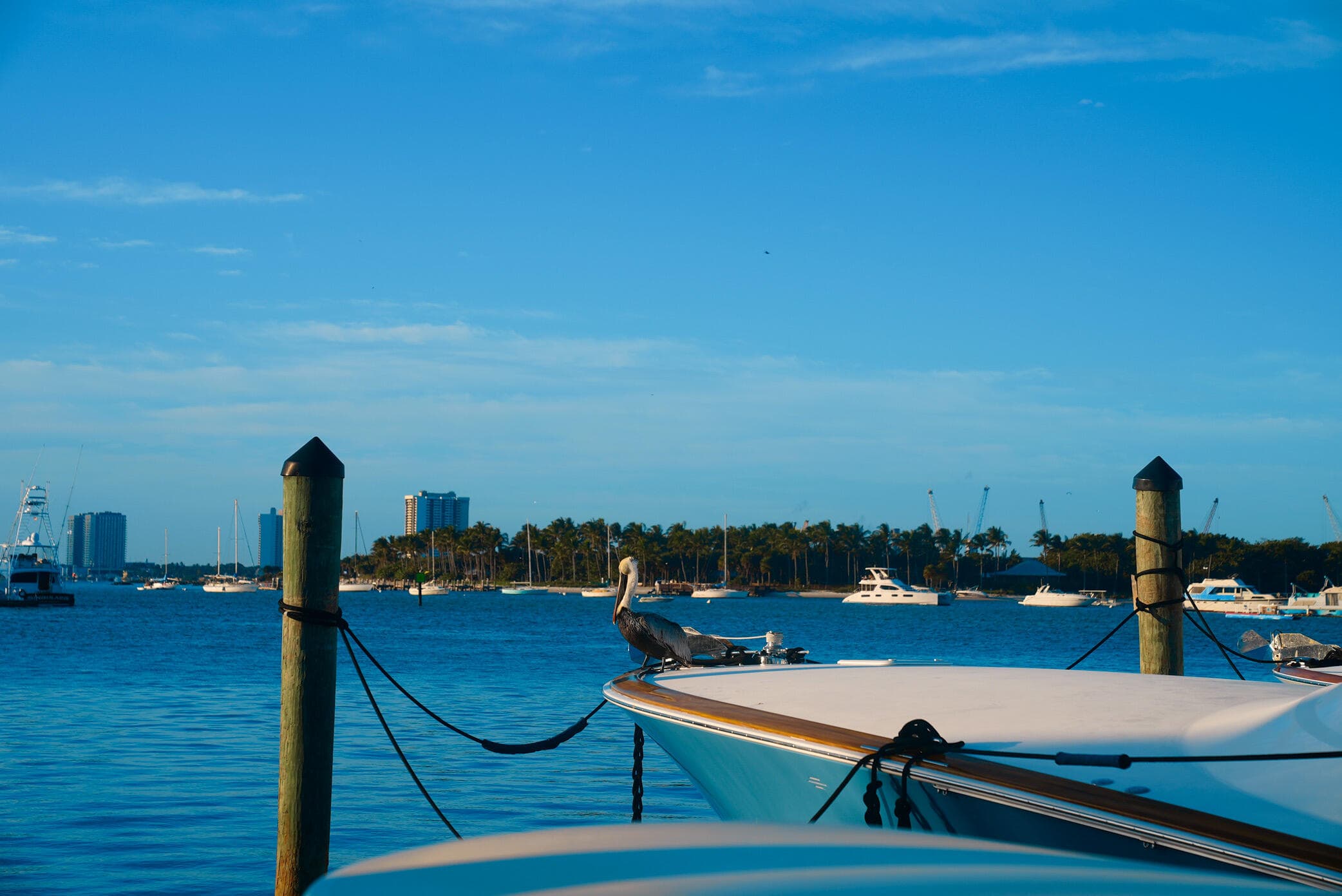 184 Lake Drive 3101, Palm Beach Shores, FL 33404 — photo 37 of 38
