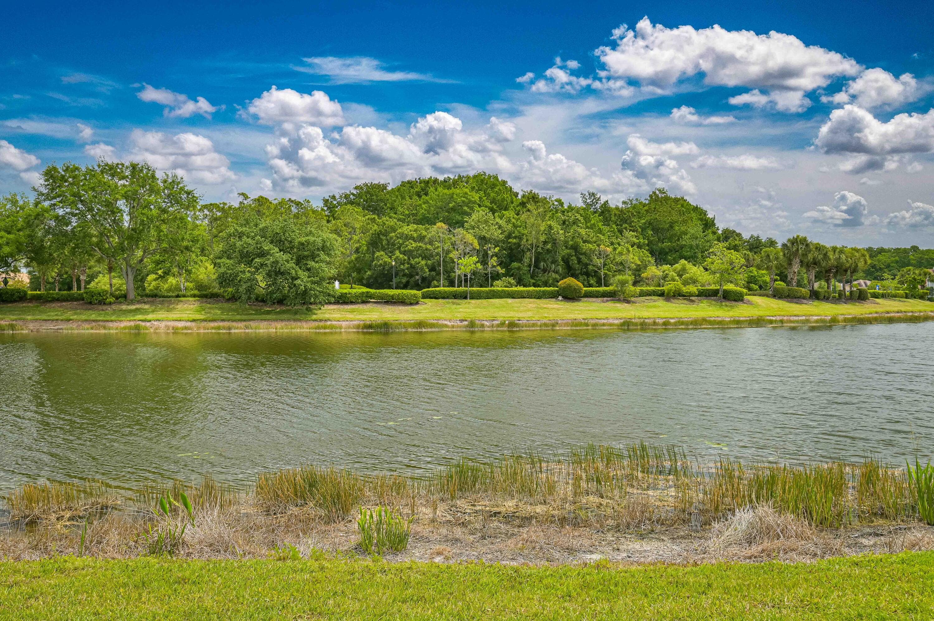 2877 Apple Blossom Drive, Alva, FL 33920 — photo 13 of 34