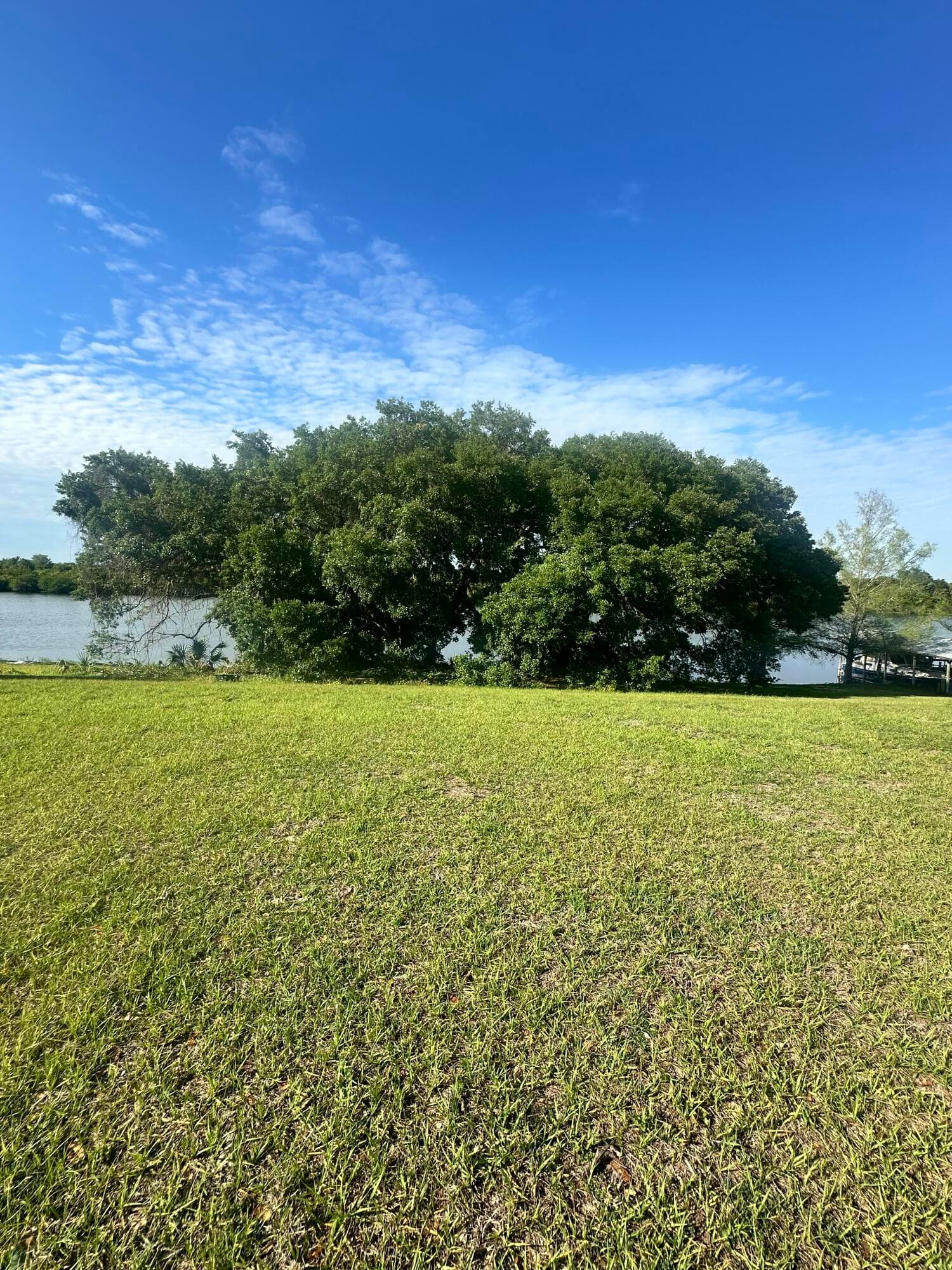 13364 SW 144th Parkway, Okeechobee, FL 34974 — photo 3 of 4