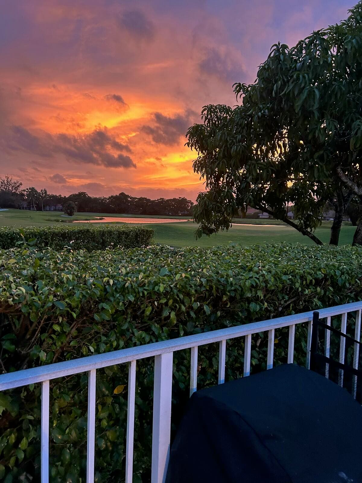 41 Green Point Circle, Palm Beach Gardens, FL 33418 — photo 2 of 5
