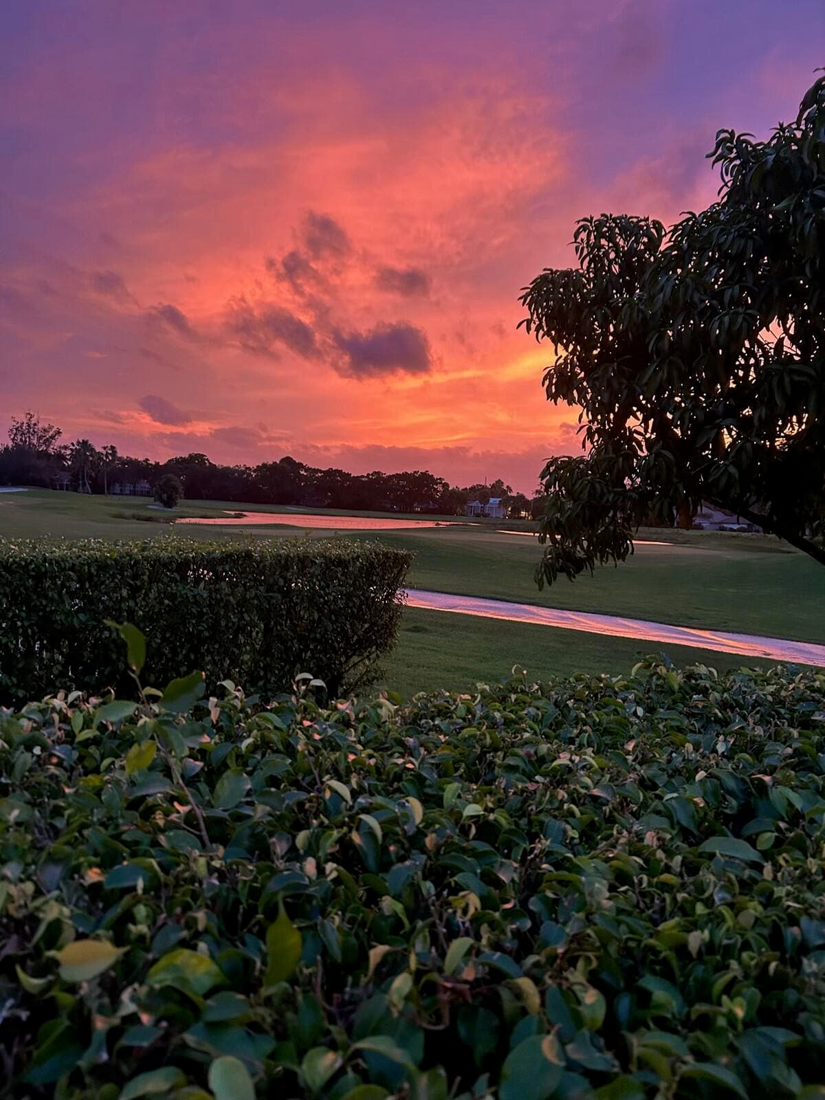 41 Green Point Circle, Palm Beach Gardens, FL 33418 — photo 4 of 5