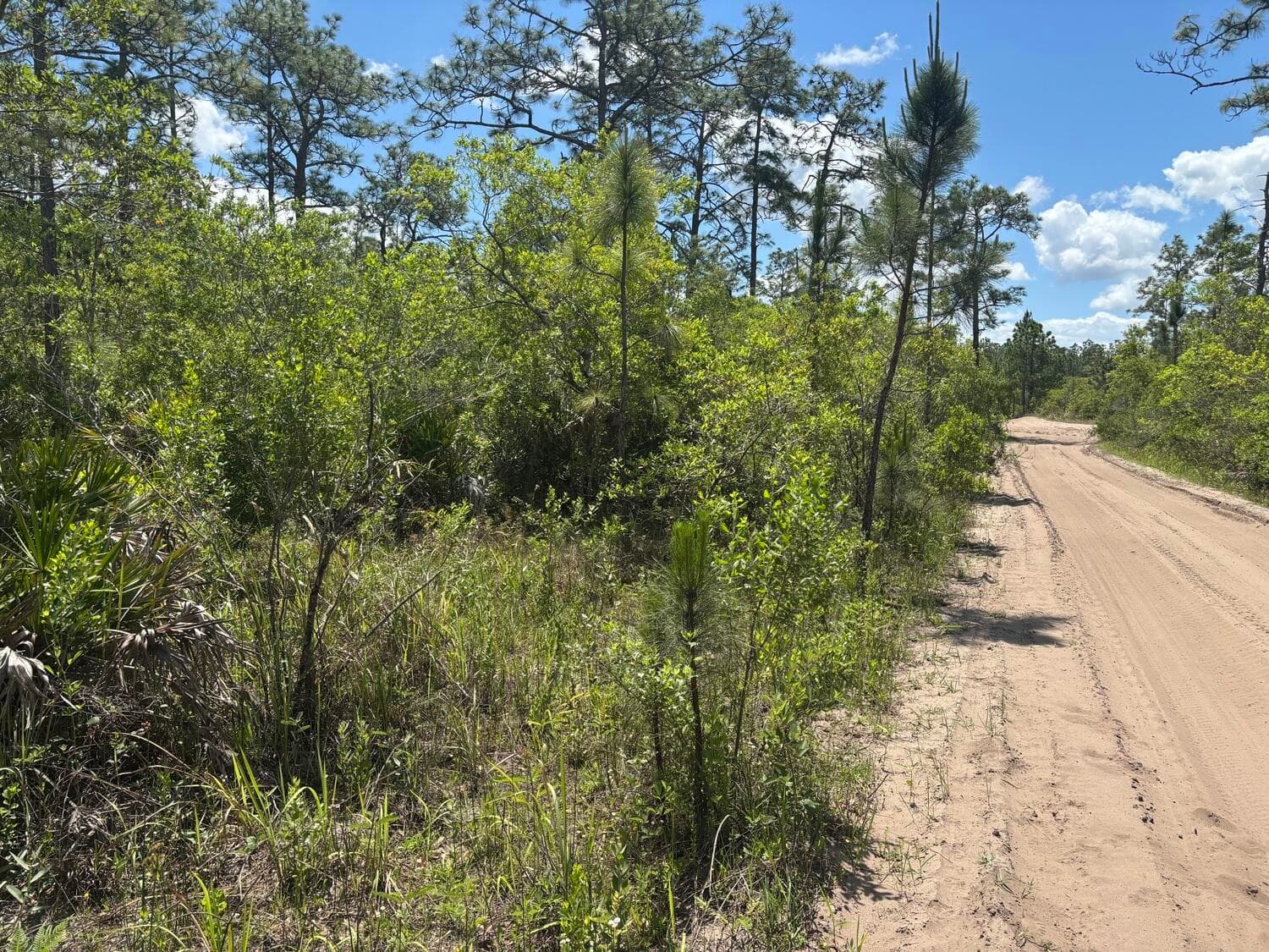 0 Holopaw Groves Road, St. Cloud, FL 34772 — photo 1 of 3