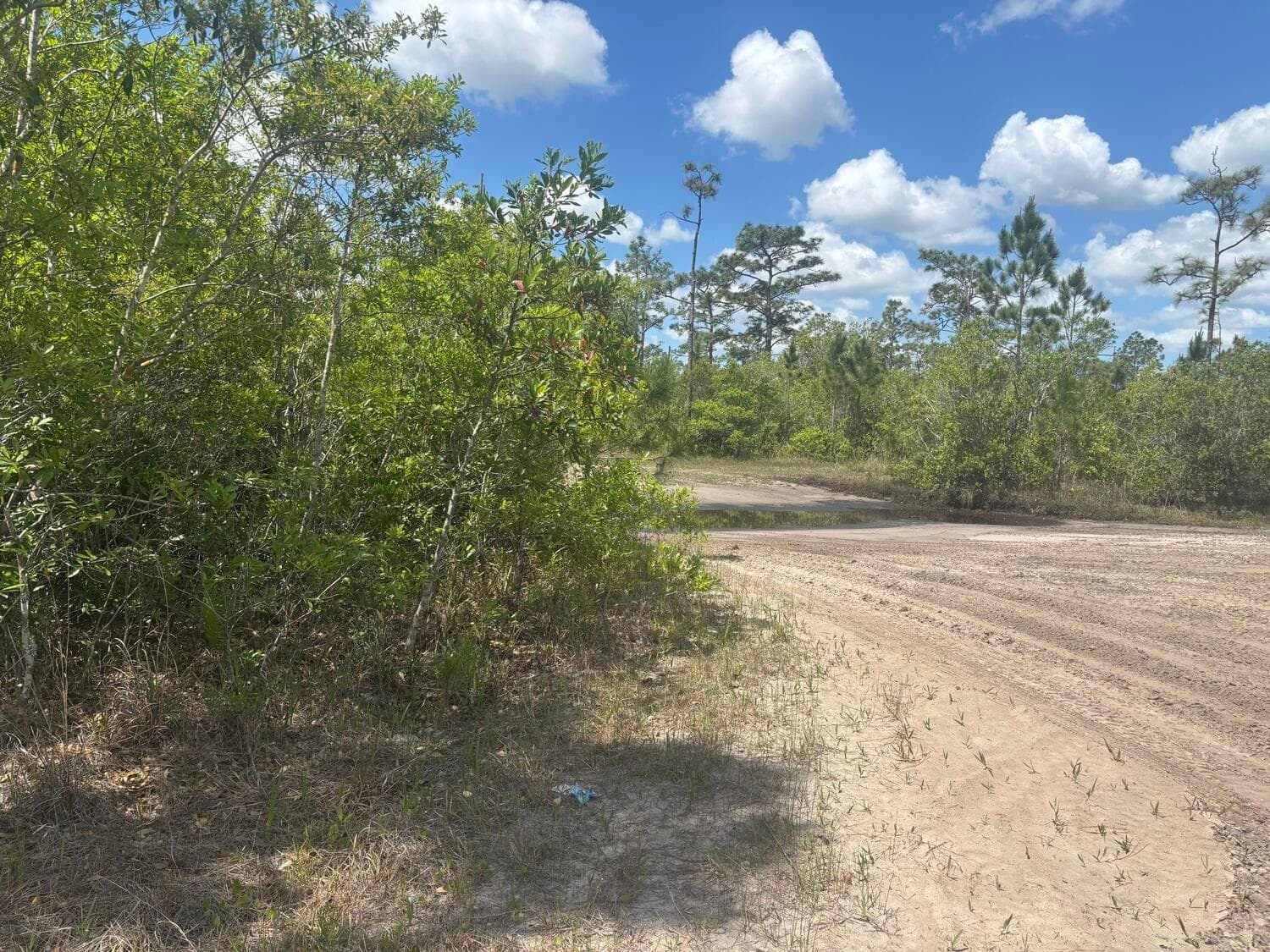 0 Holopaw Groves Road, St. Cloud, FL 34772 — photo 1 of 3