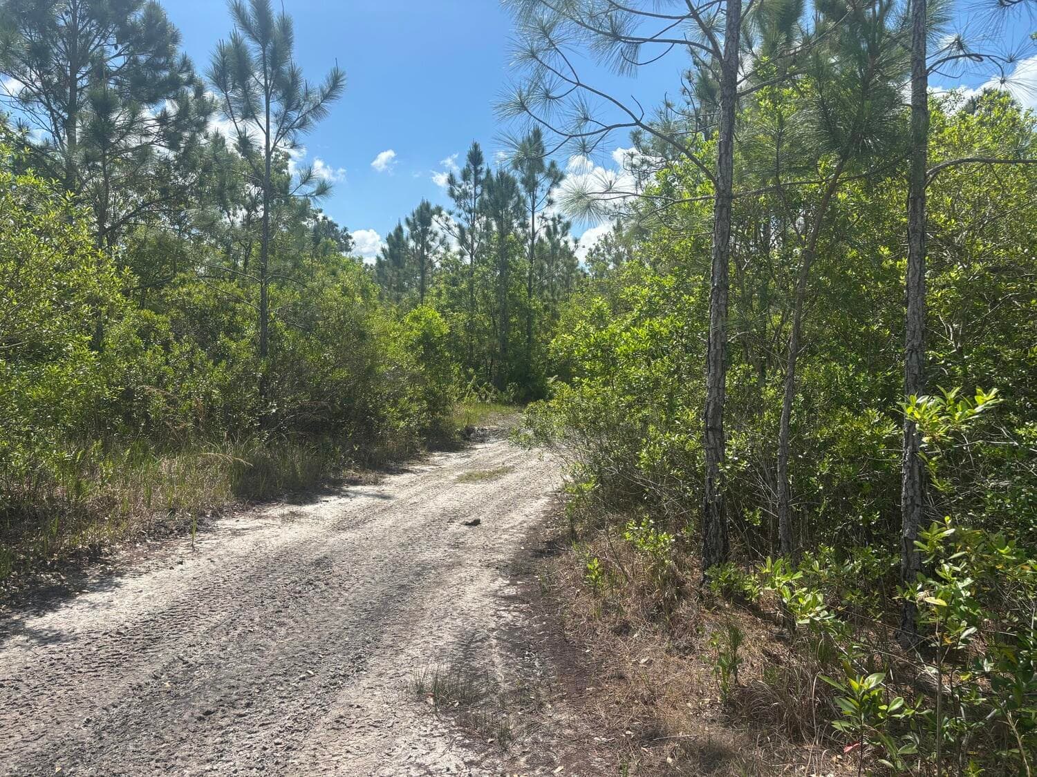 0 Holopaw Groves Road, St. Cloud, FL 34772 — photo 2 of 3