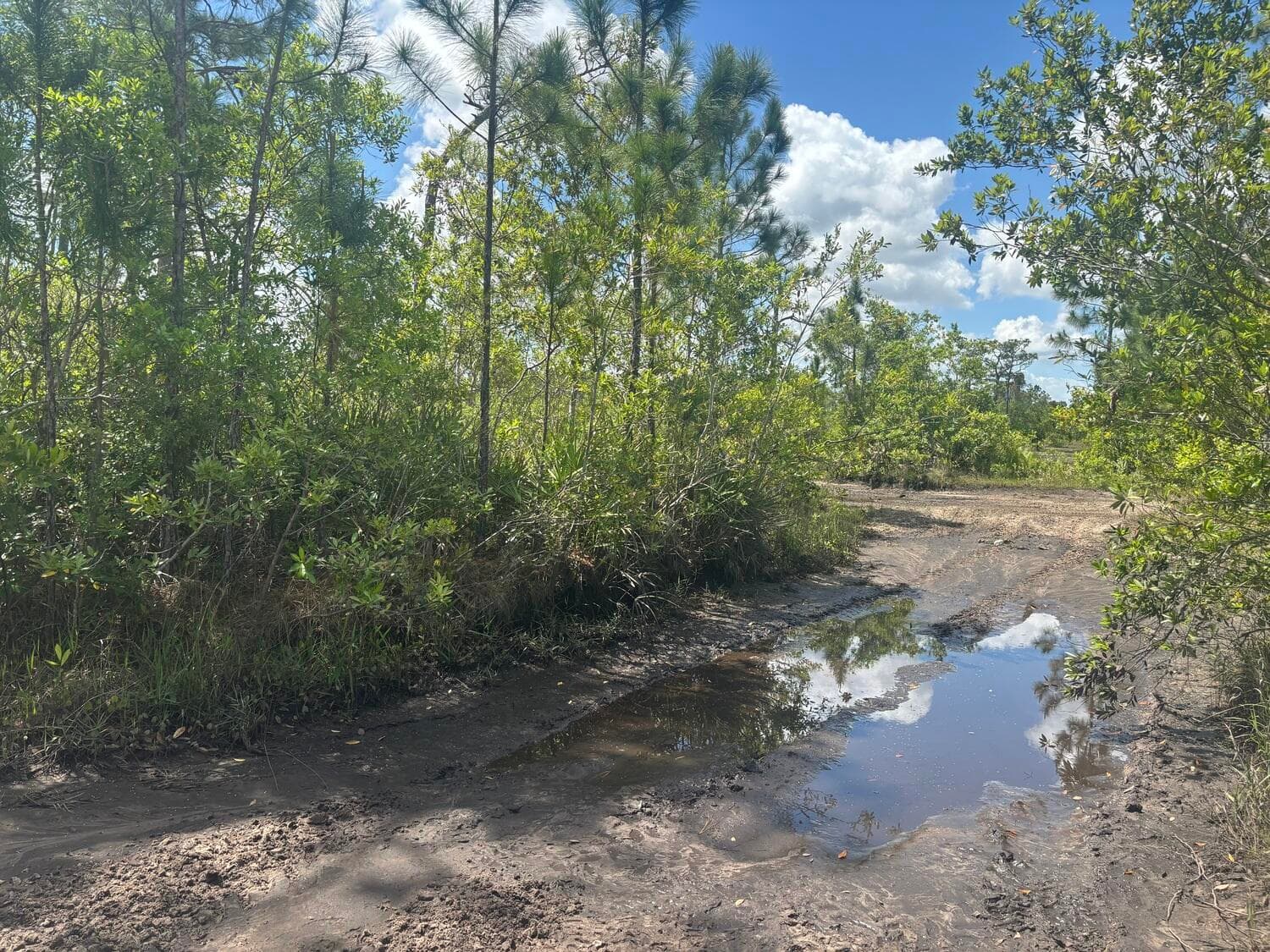 0 Holopaw Groves Road, St. Cloud, FL 34772 — photo 1 of 2