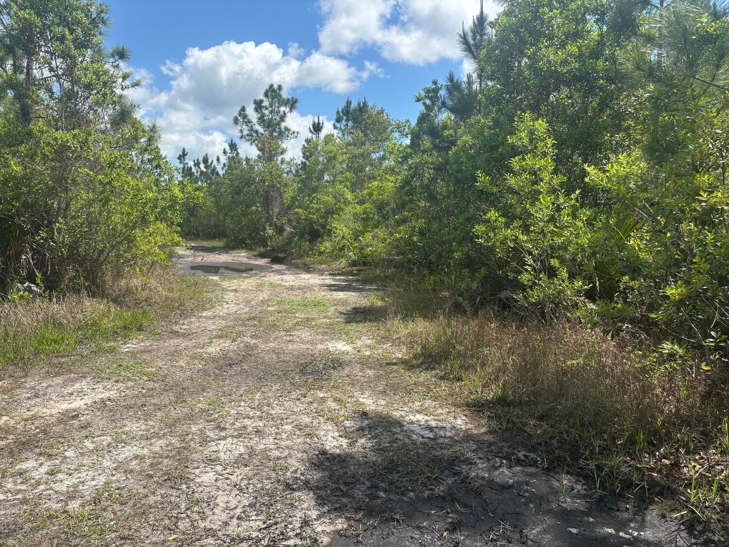 0 Holopaw Groves Road, St. Cloud, FL 34772 — photo 2 of 3