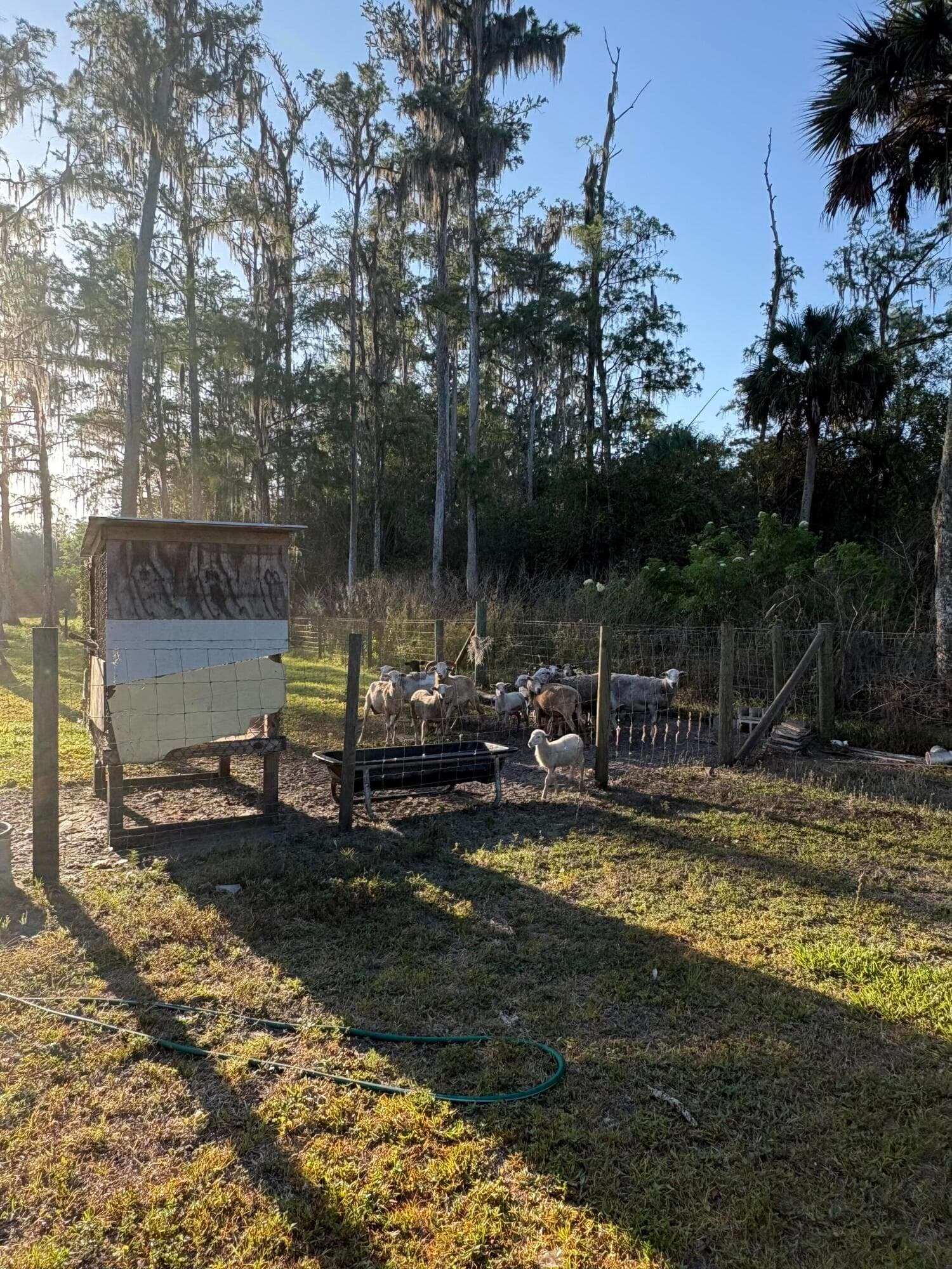 855 N Datil Street, Clewiston, FL 33440 — photo 20 of 22