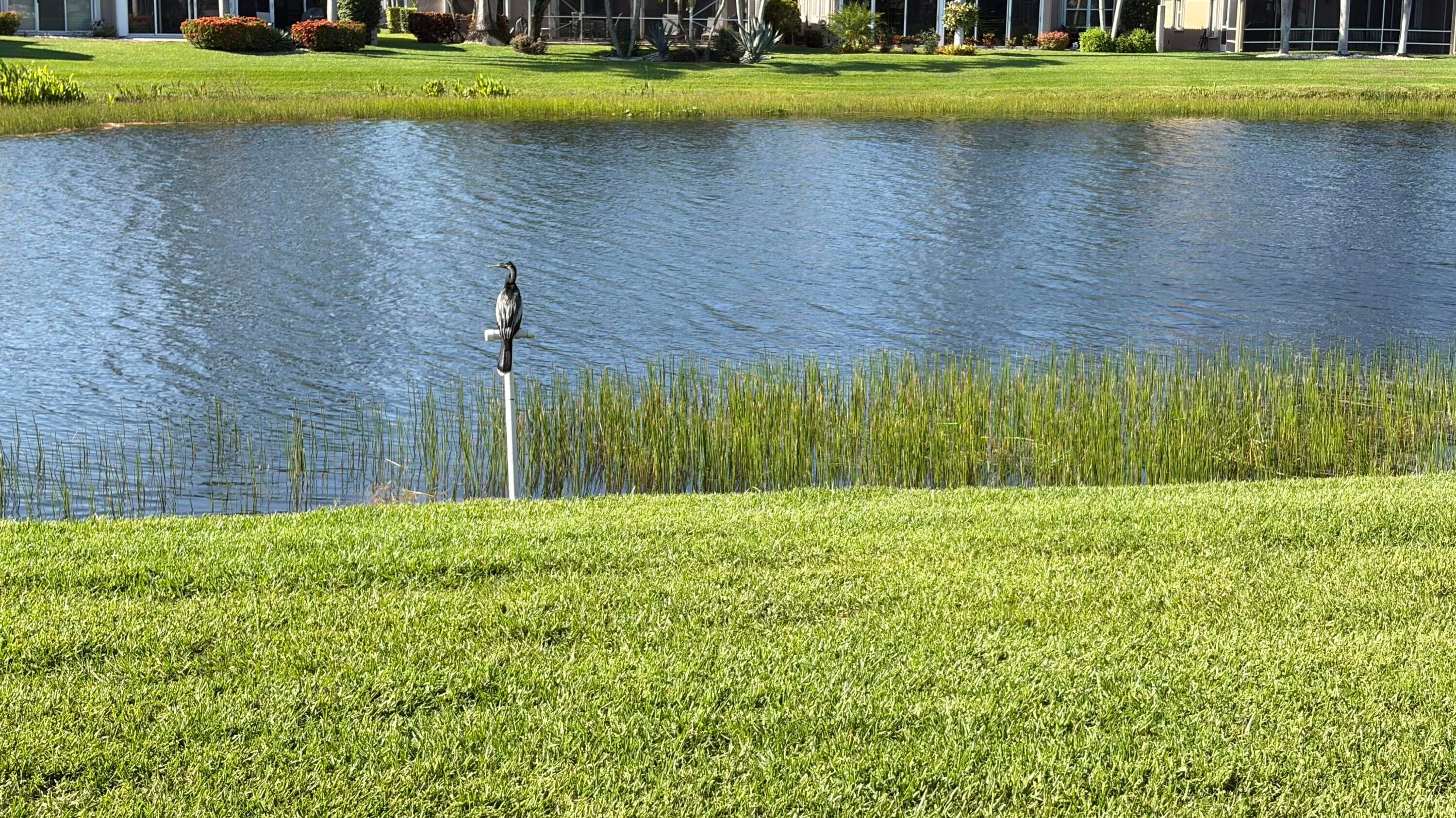 6671 Maybrook Road, Boynton Beach, FL 33437 — photo 40 of 74