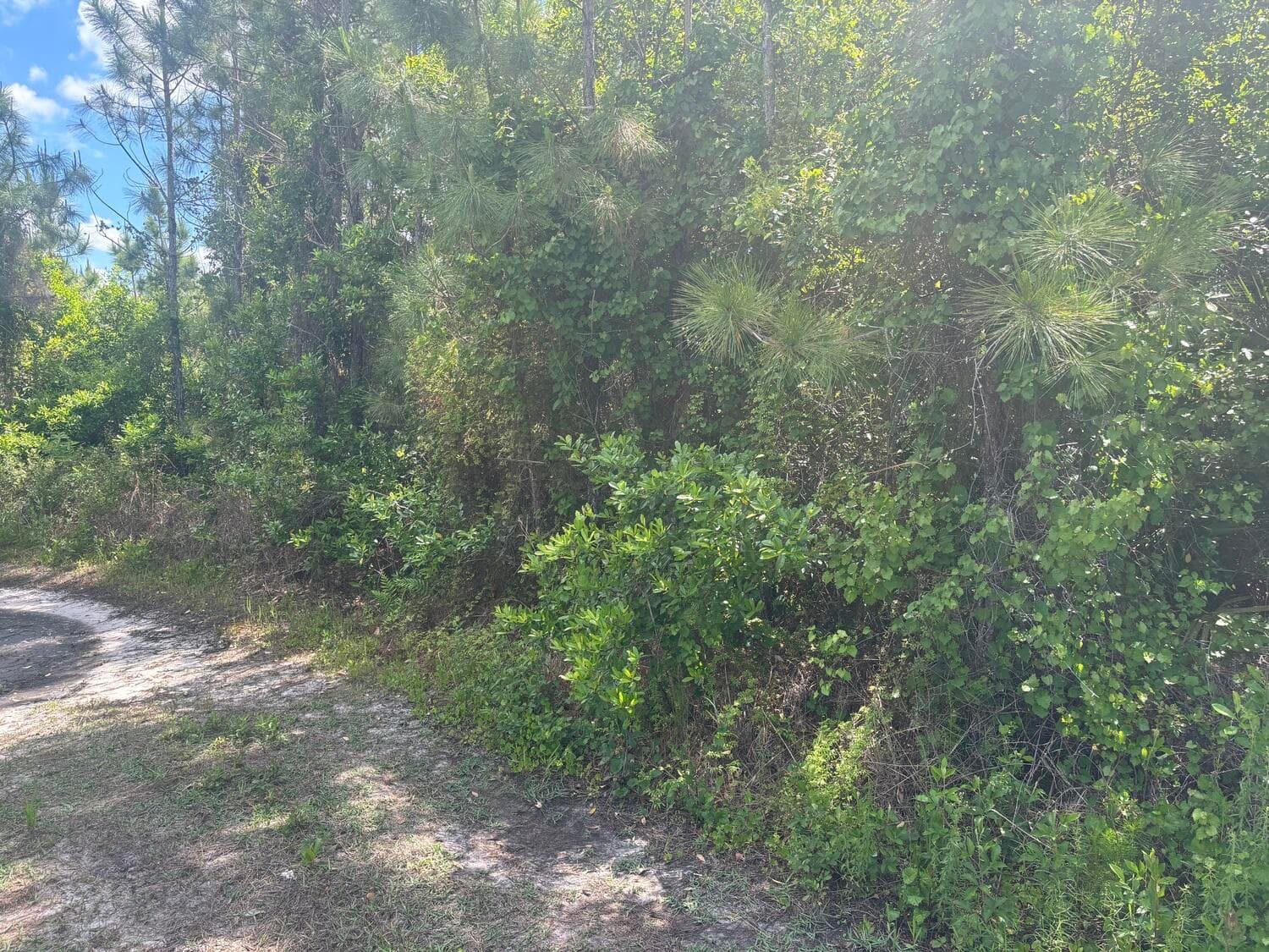 0 Holopaw Groves Road, St. Cloud, FL 34772 — photo 1 of 3