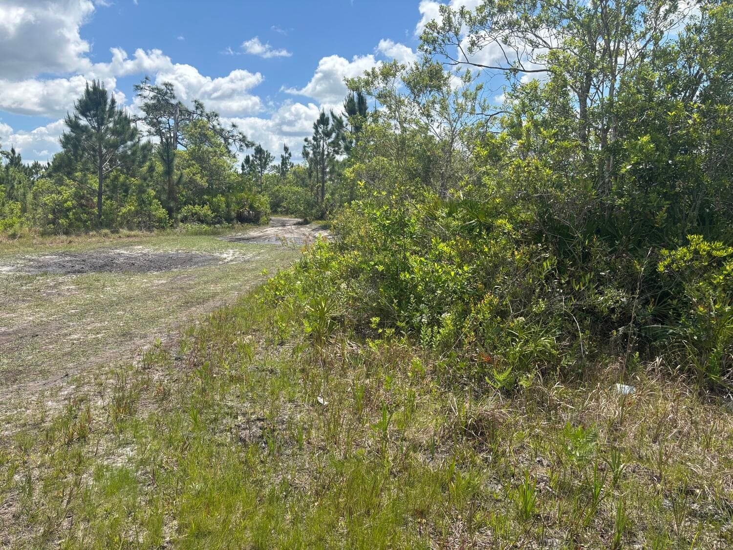 0 Holopaw Groves Road, St. Cloud, FL 34772 — photo 3 of 3