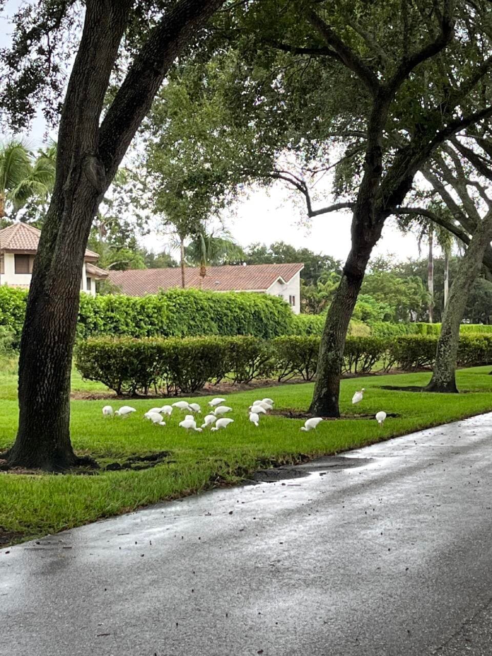 4020 NW 24th Ter Terrace, Boca Raton, FL 33431 — photo 23 of 27