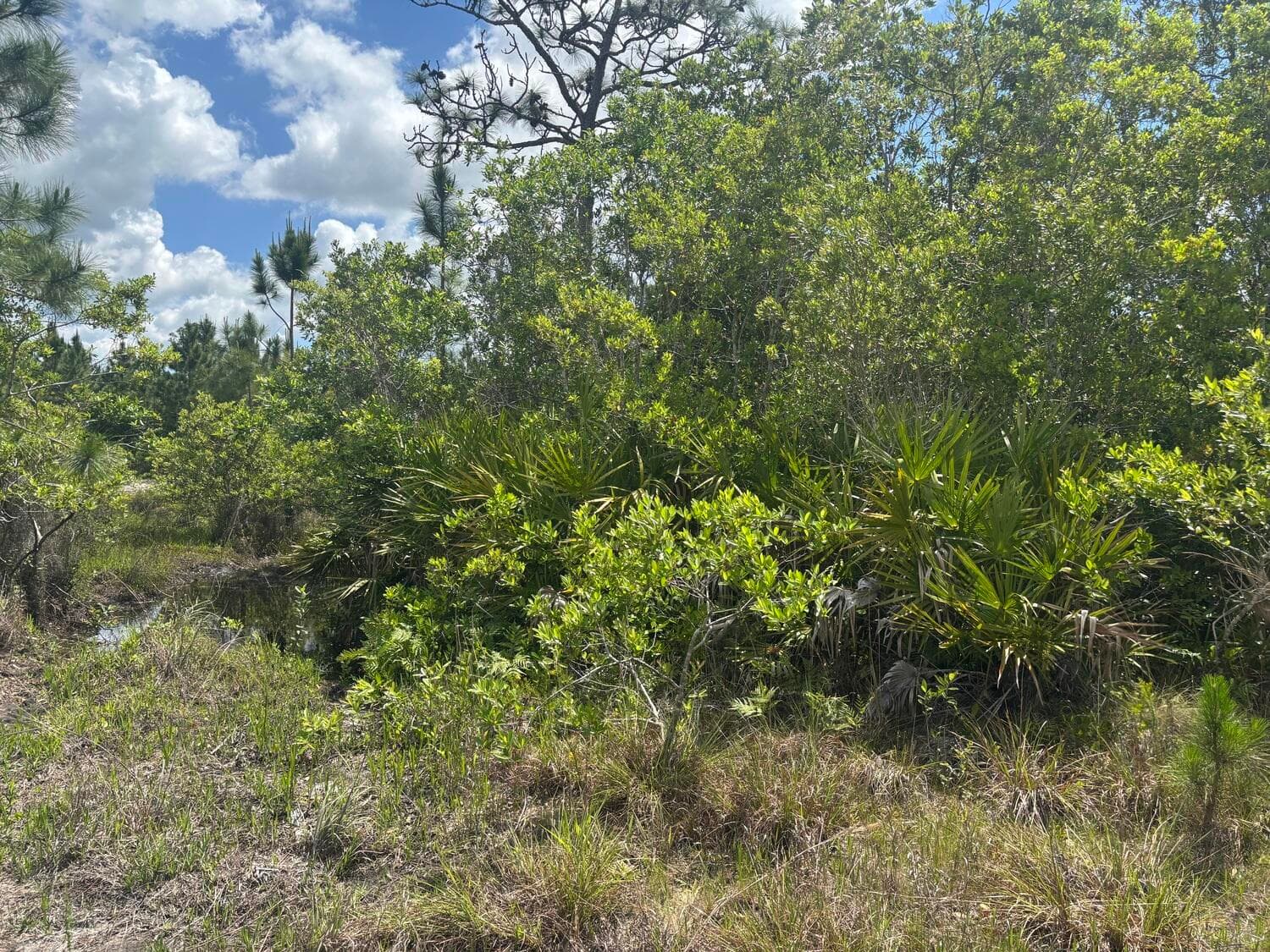 0 Holopaw Groves Road, St. Cloud, FL 34772 — photo