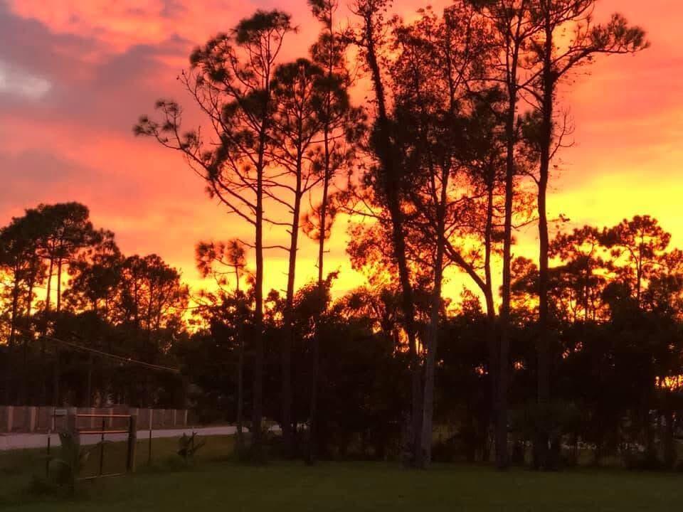 12543 N 73rd Court N, The Acreage, FL 33412 — photo 16 of 18