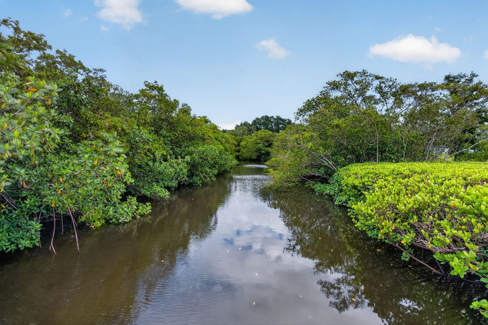 6271 Riverwalk Lane 4, Jupiter, FL 33458 — photo 57 of 64