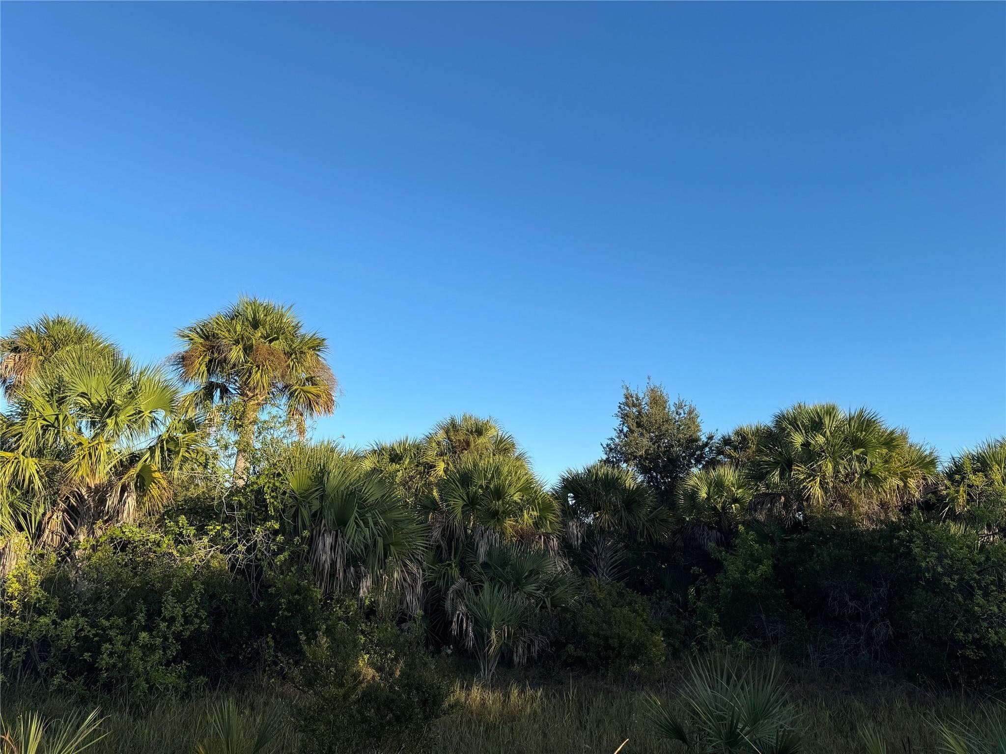 2025 Cabbage Lane, Okeechobee, FL 34974 — photo 1 of 10