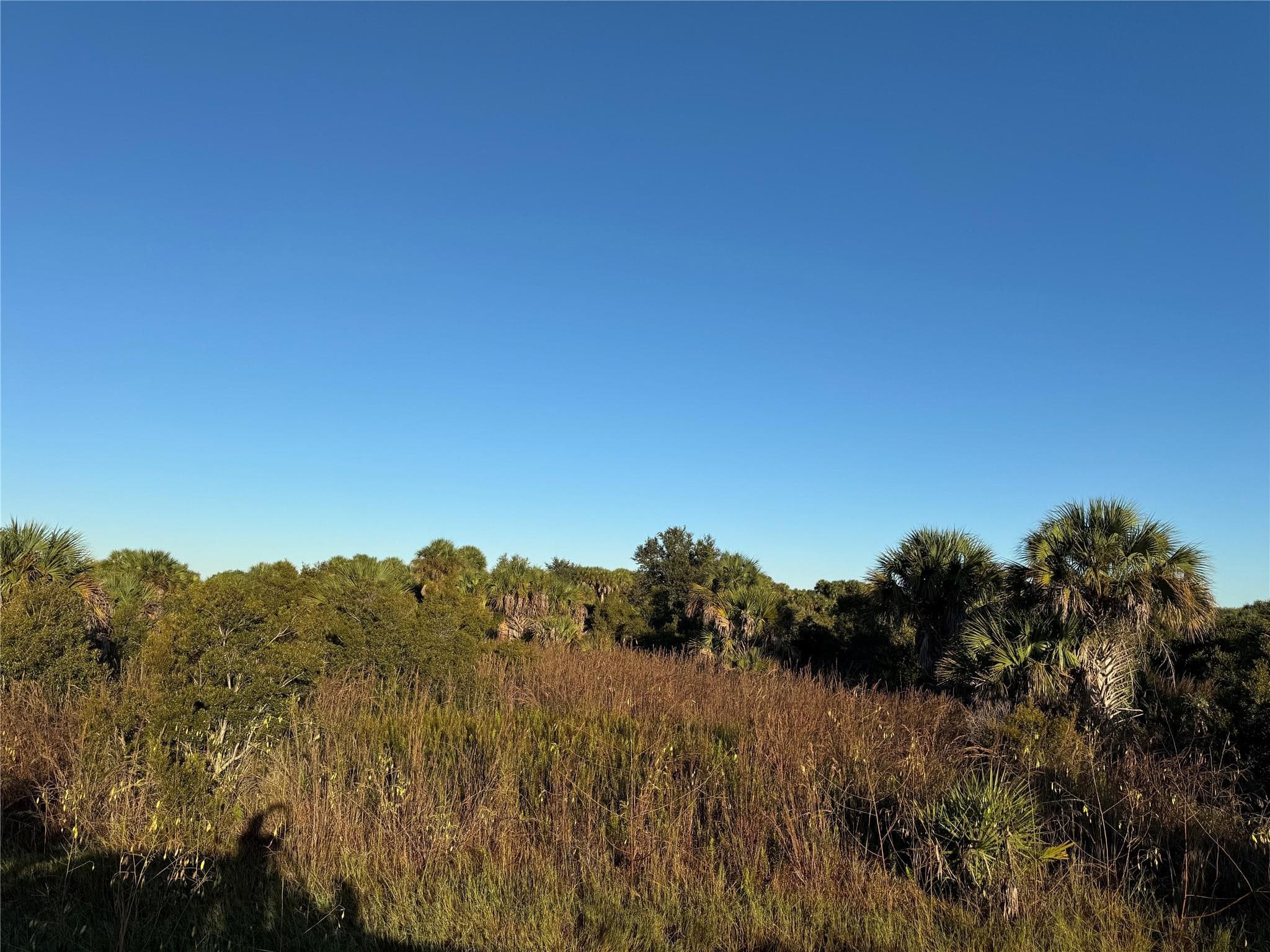2025 Cabbage Lane, Okeechobee, FL 34974 — photo 2 of 10