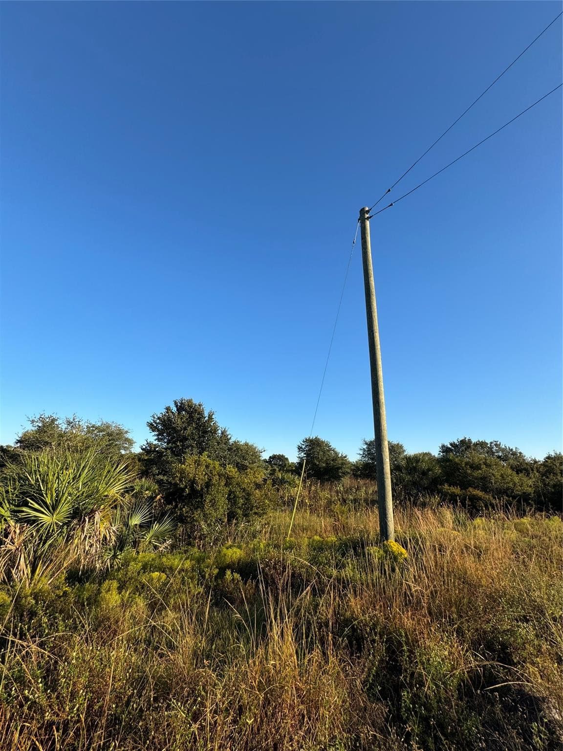 2025 Cabbage Lane, Okeechobee, FL 34974 — photo 5 of 10