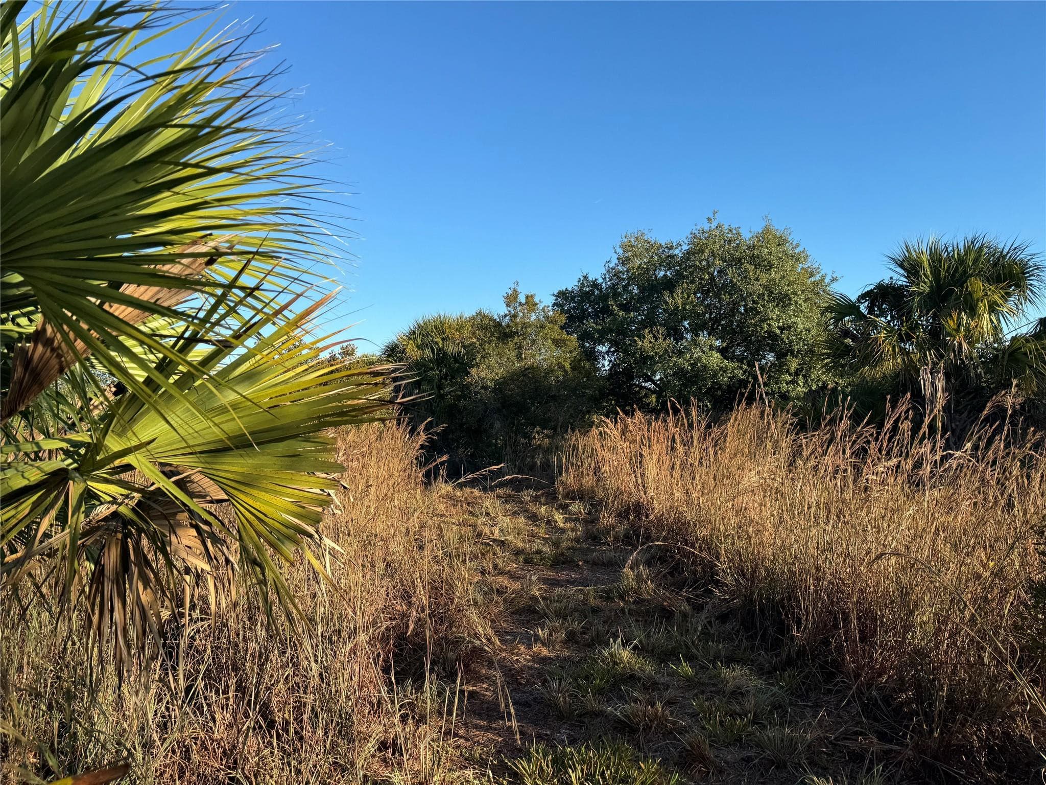 2025 Cabbage Lane, Okeechobee, FL 34974 — photo 6 of 10