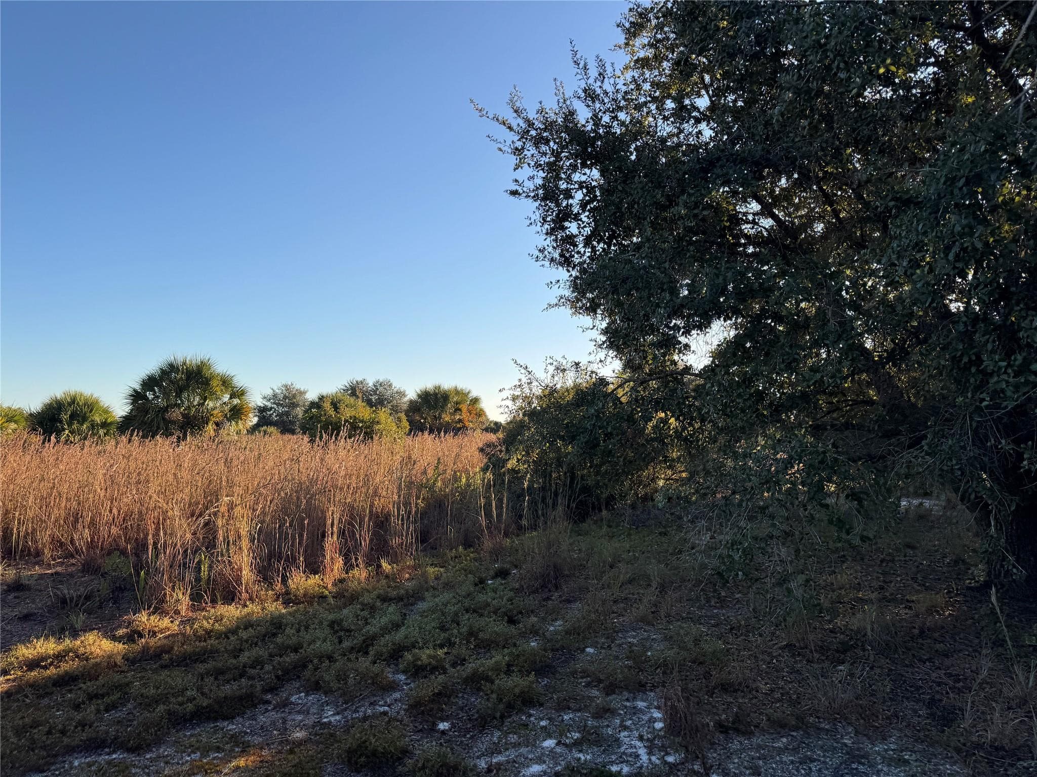 2025 Cabbage Lane, Okeechobee, FL 34974 — photo 8 of 10