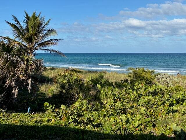 3163 NE 8th Avenue, Boca Raton, FL 33431 — photo 34 of 35
