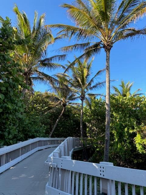 3163 NE 8th Avenue, Boca Raton, FL 33431 — photo 15 of 17