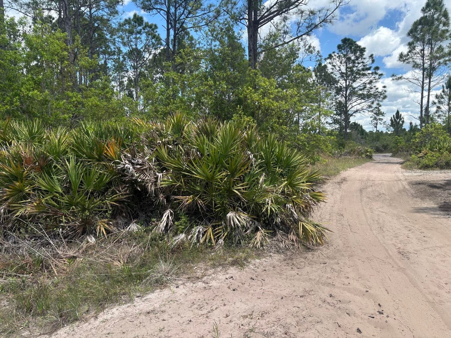 0 Holopaw Groves Road, St. Cloud, FL 34772 — photo 2 of 3
