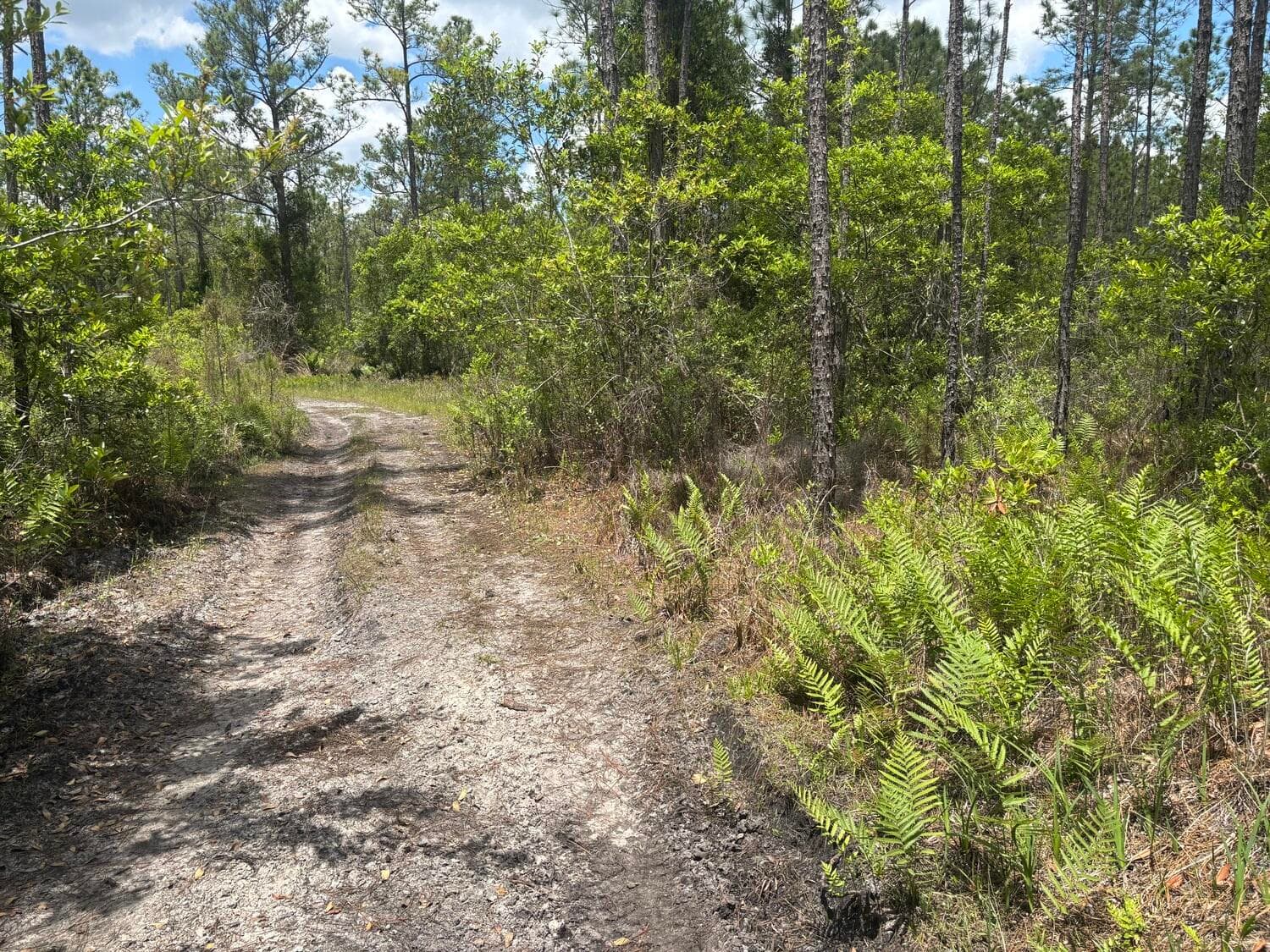 0 Holopaw Groves Road, St. Cloud, FL 34772 — photo