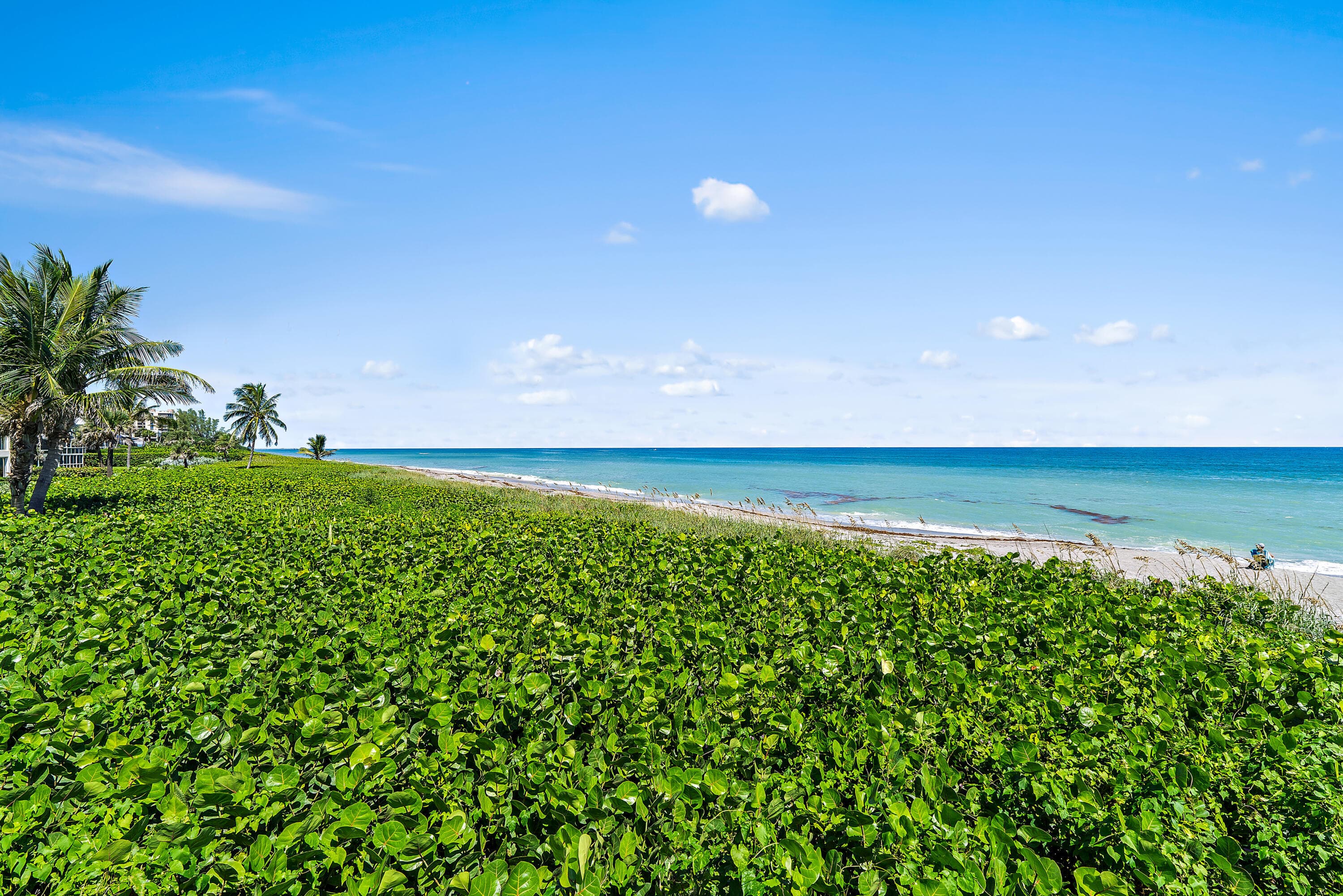50 Celestial Way 310, Juno Beach, FL 33408 — photo 29 of 33