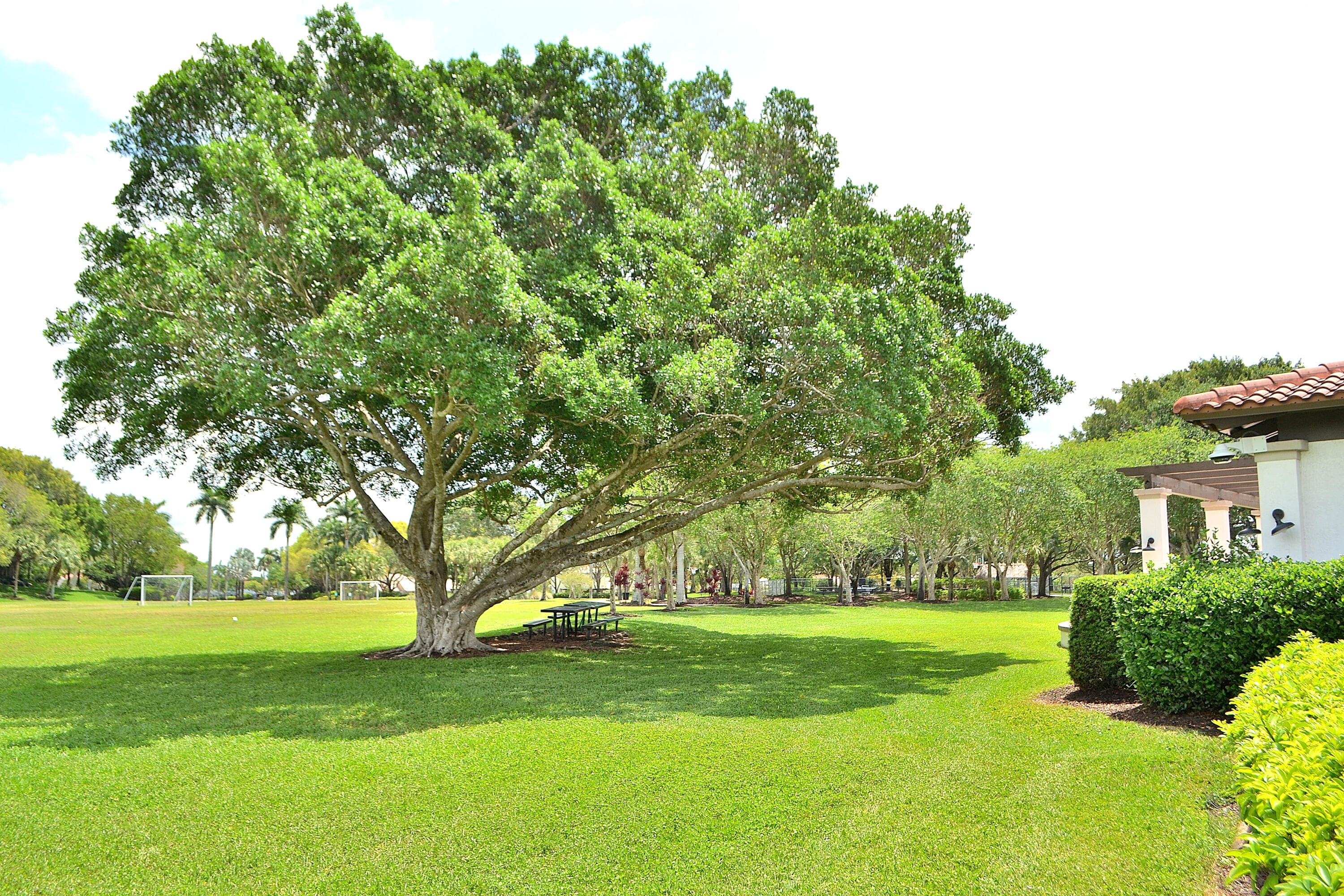 4361 Dogwood Circle, Weston, FL 33331 — photo 20 of 20