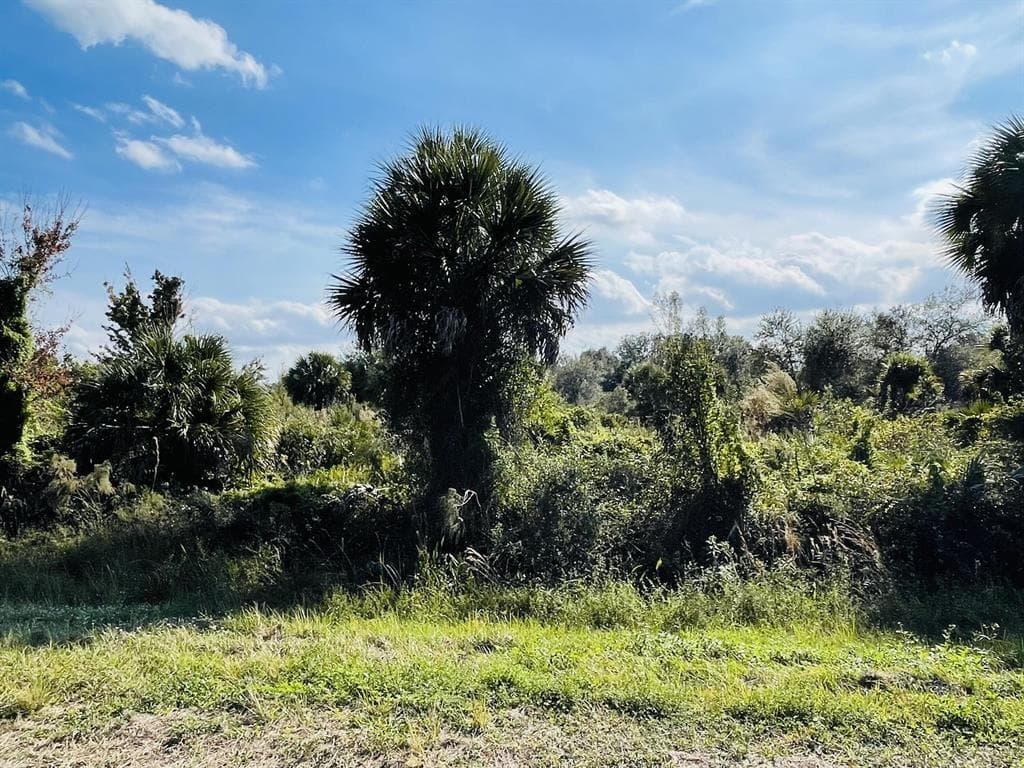 19194 NW 280th Street, Okeechobee, FL 34972 — photo 3 of 3
