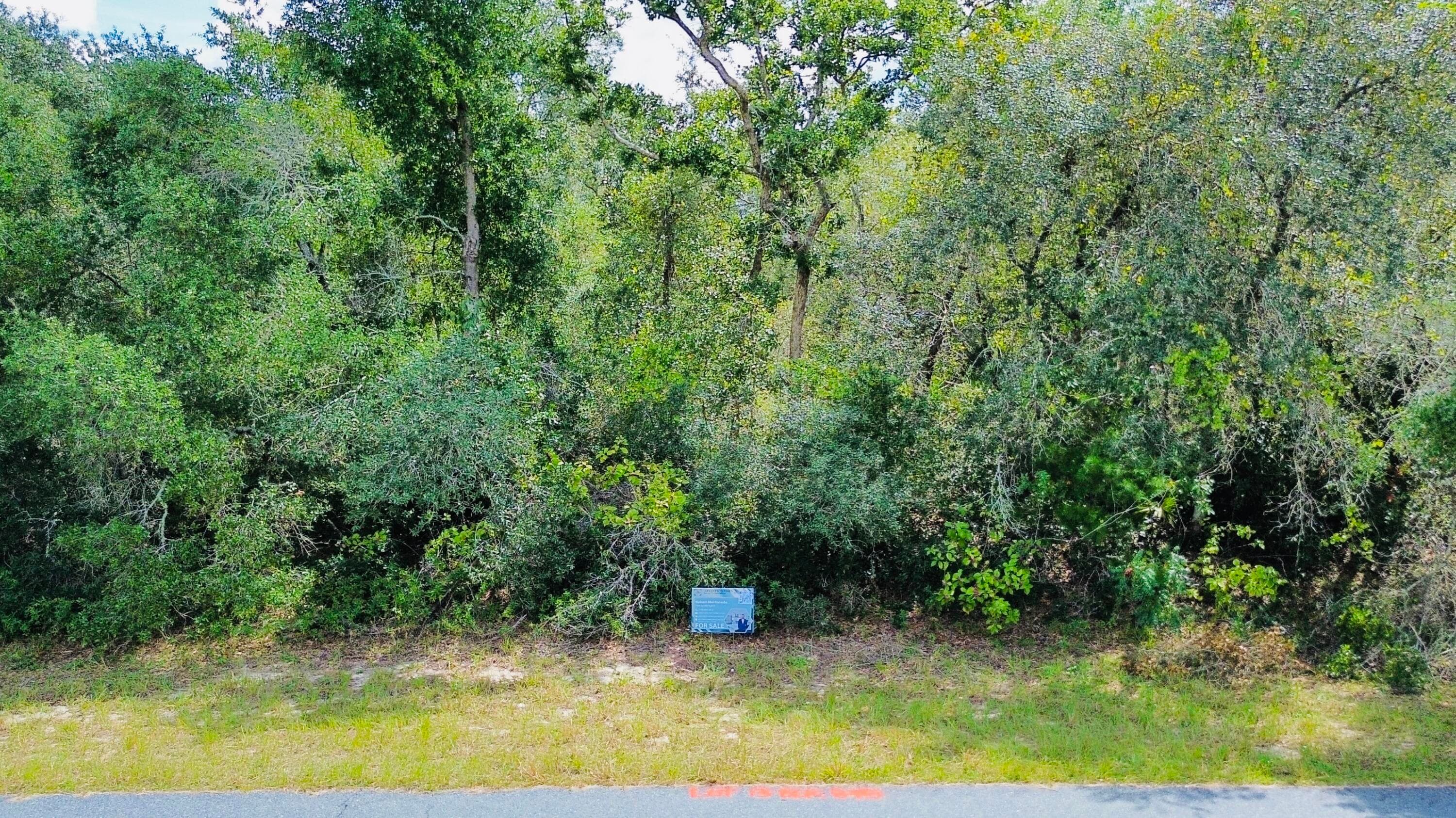 Tbd SW 37th Avenue, Ocala, FL 34473 — photo 2 of 7