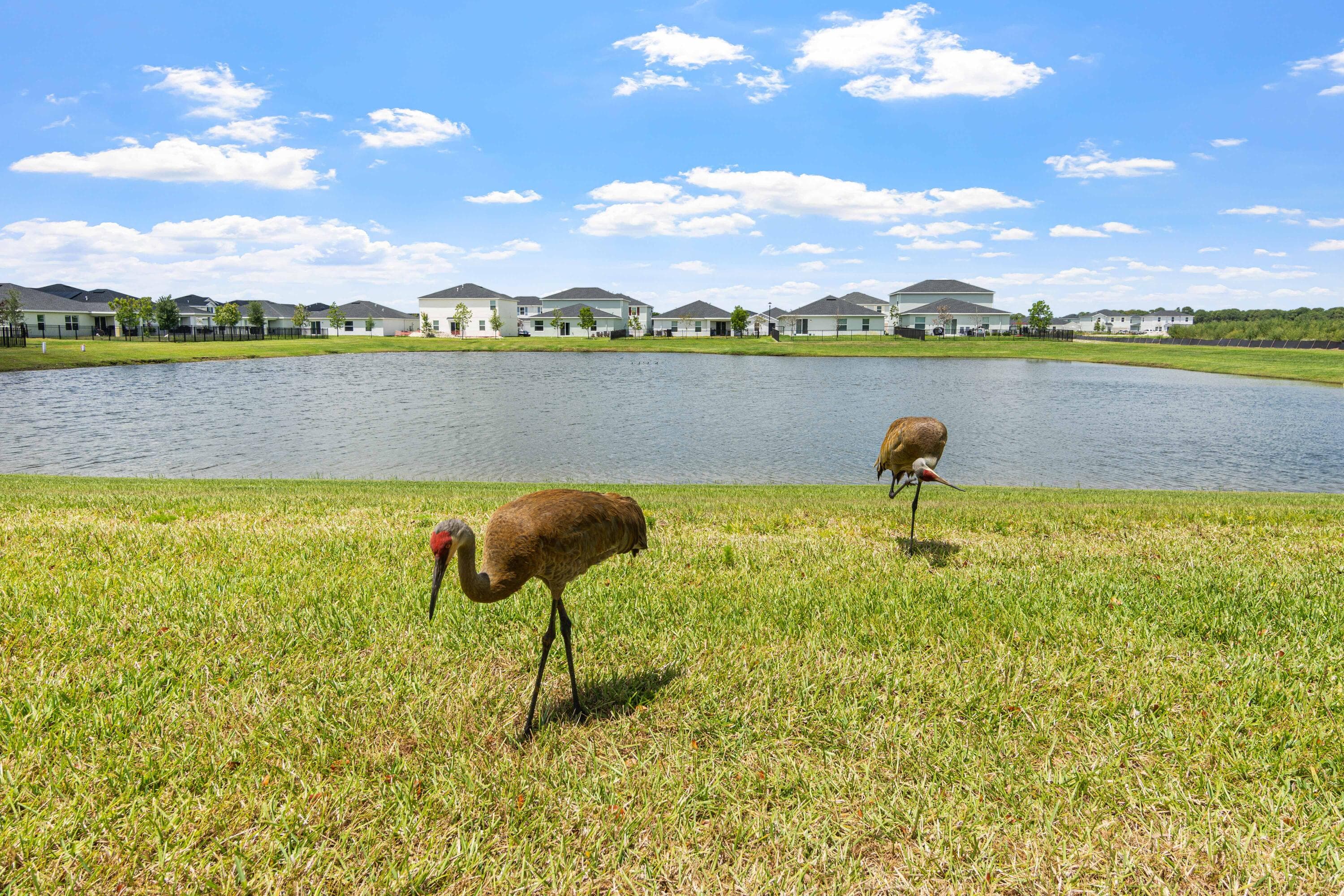 5964 NW Sweetwood Drive, Port St. Lucie, FL 34987 — photo 35 of 72