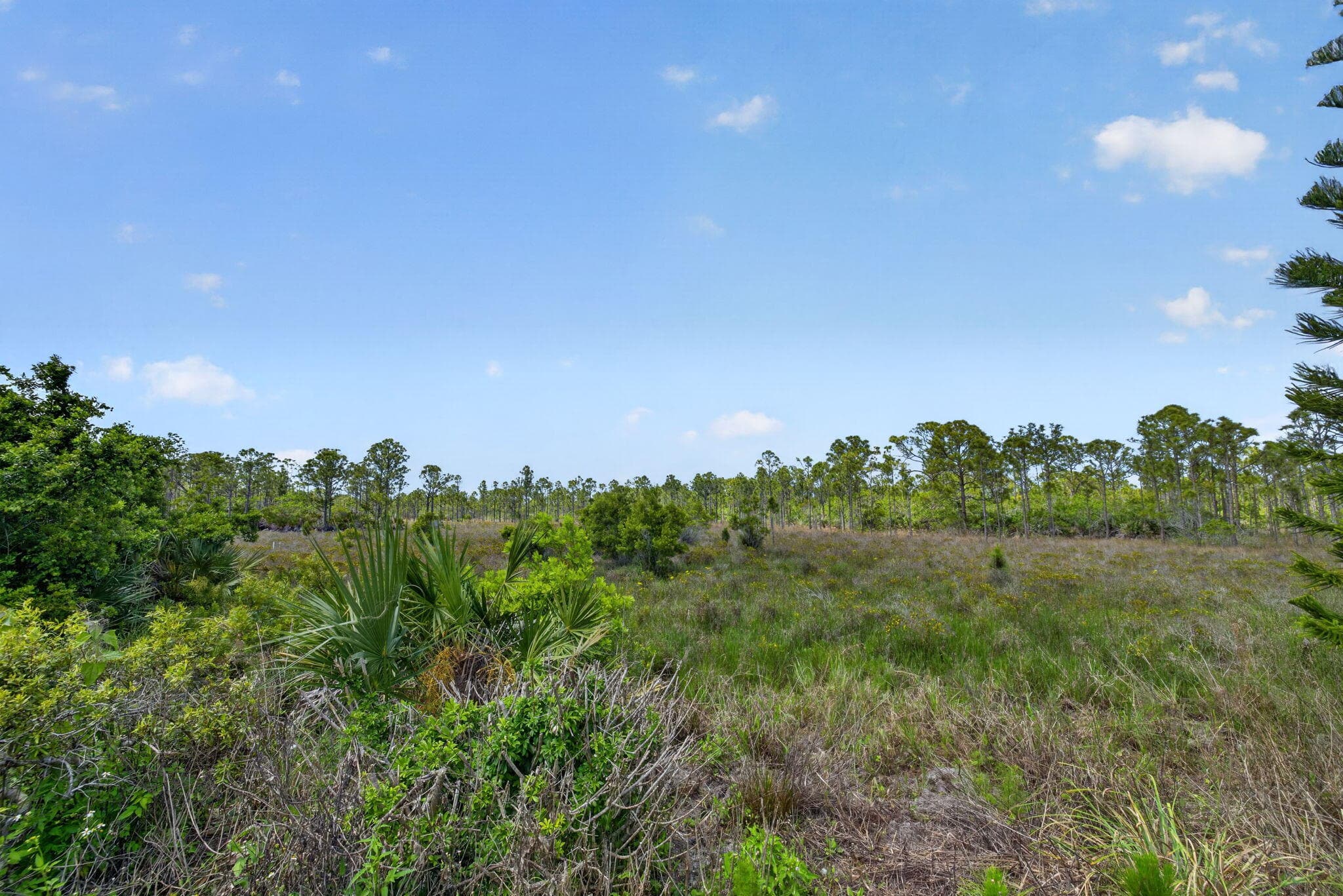 2820 Eagle's Nest Way, Port St. Lucie, FL 34952 — photo 39 of 42