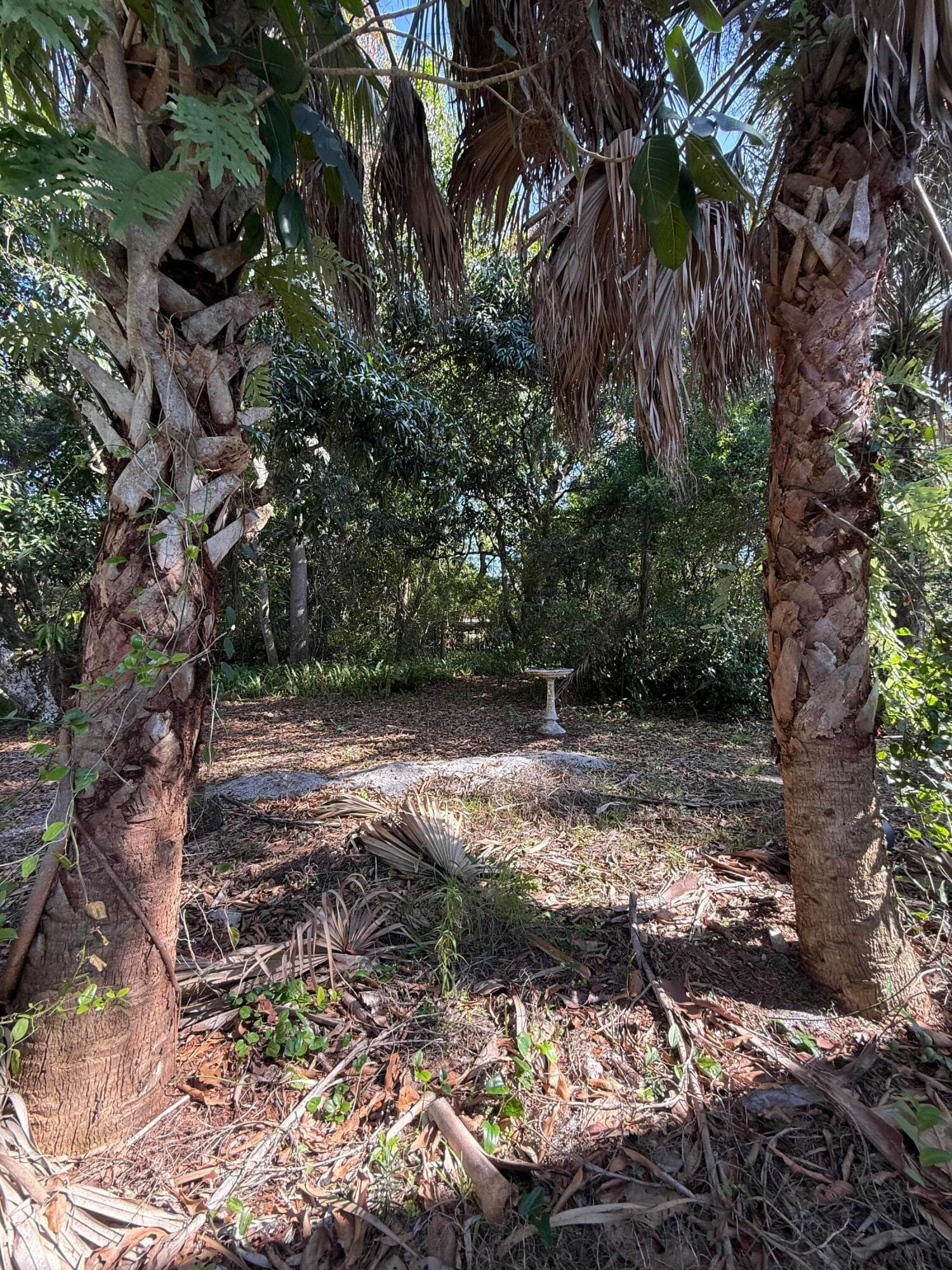 2363 SE St Lucie Boulevard, Stuart, FL 34996 — photo 5 of 26