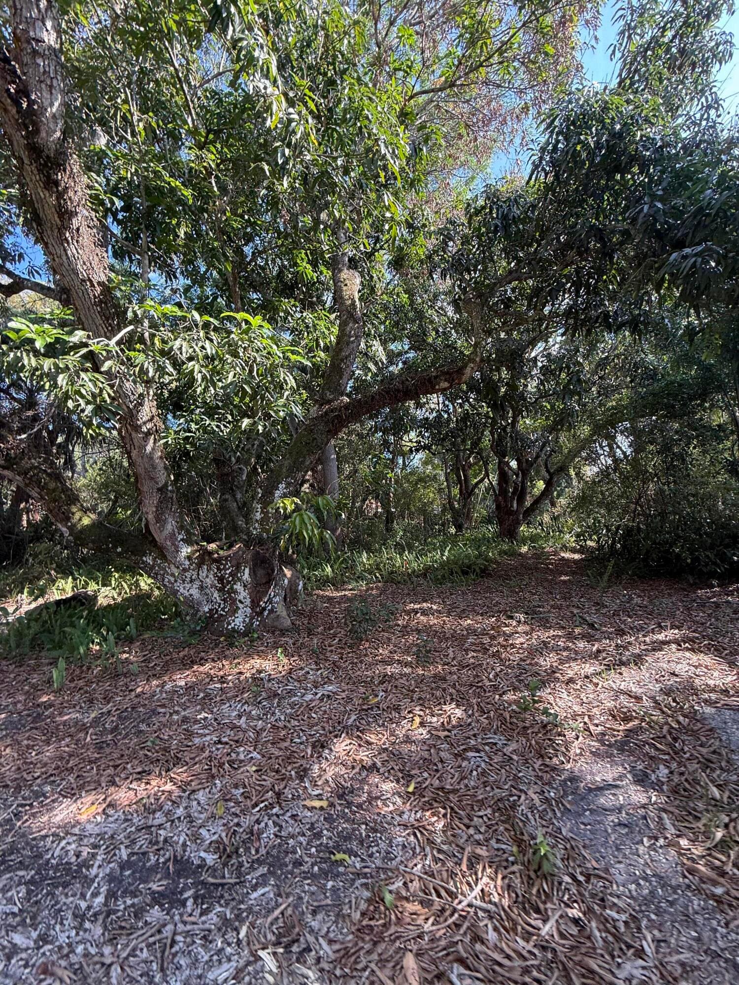 2363 SE St Lucie Boulevard, Stuart, FL 34996 — photo 18 of 26