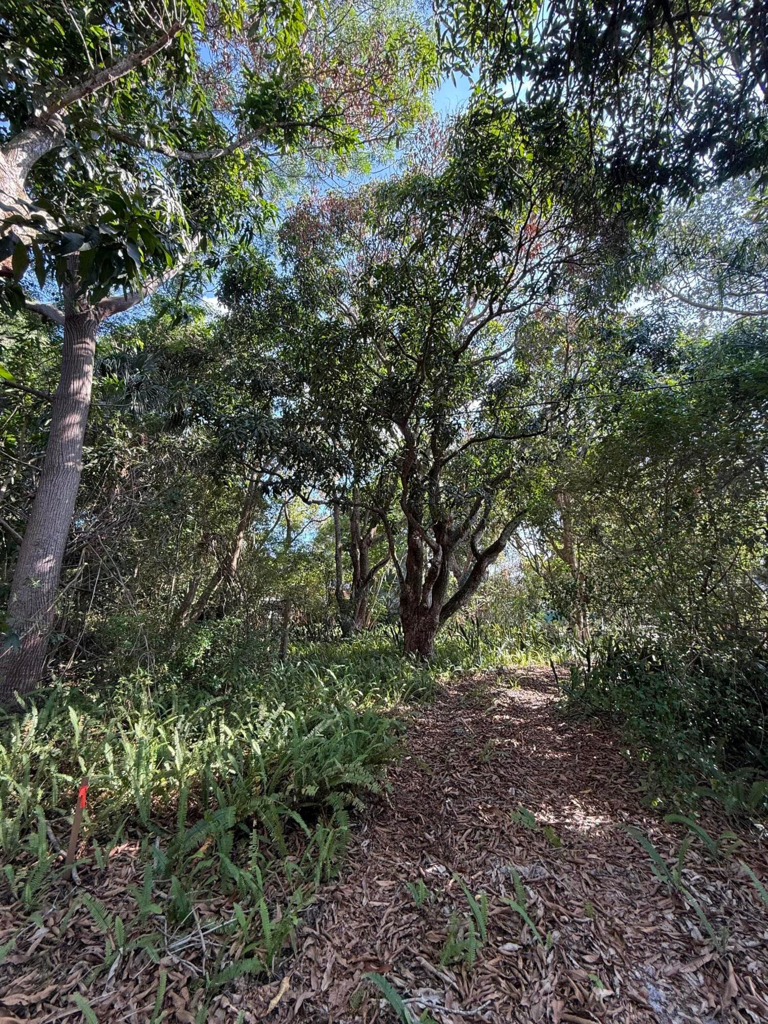 2363 SE St Lucie Boulevard, Stuart, FL 34996 — photo 17 of 26