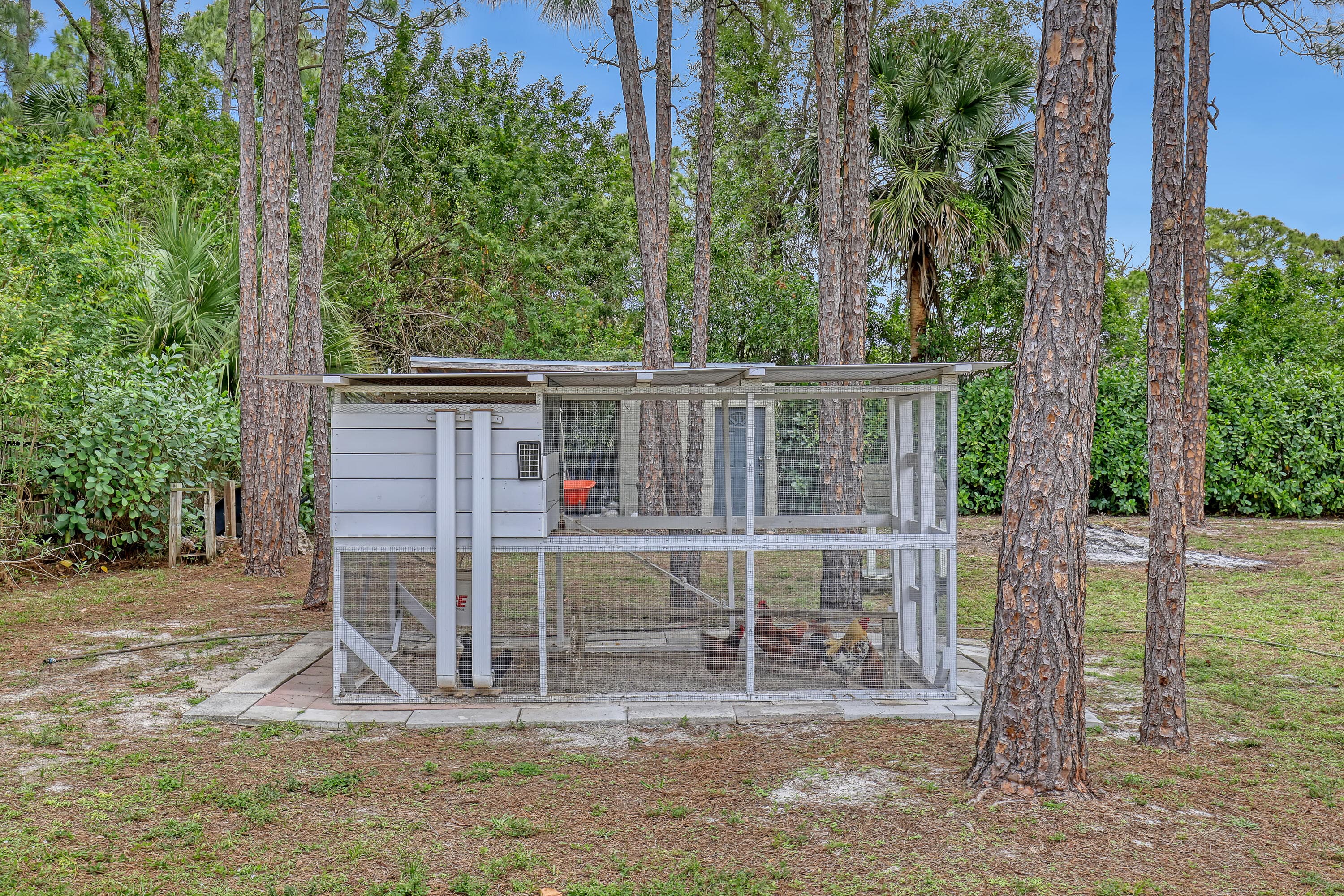 17271 N 88th Rd Road N, The Acreage, FL 33470 — photo 54 of 70