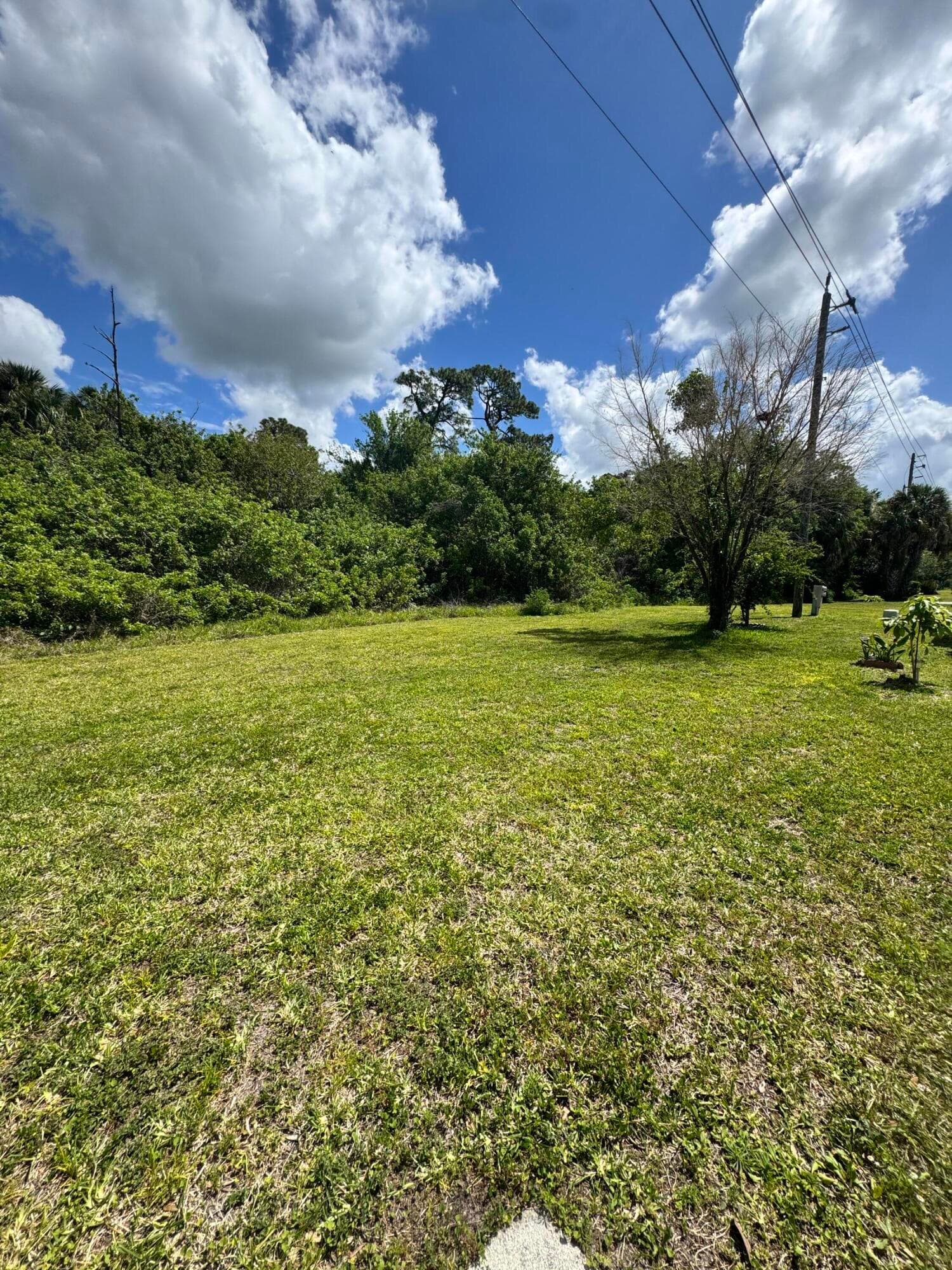 15146 Aguila Avenue, Fort Pierce, FL 34951 — photo 37 of 41