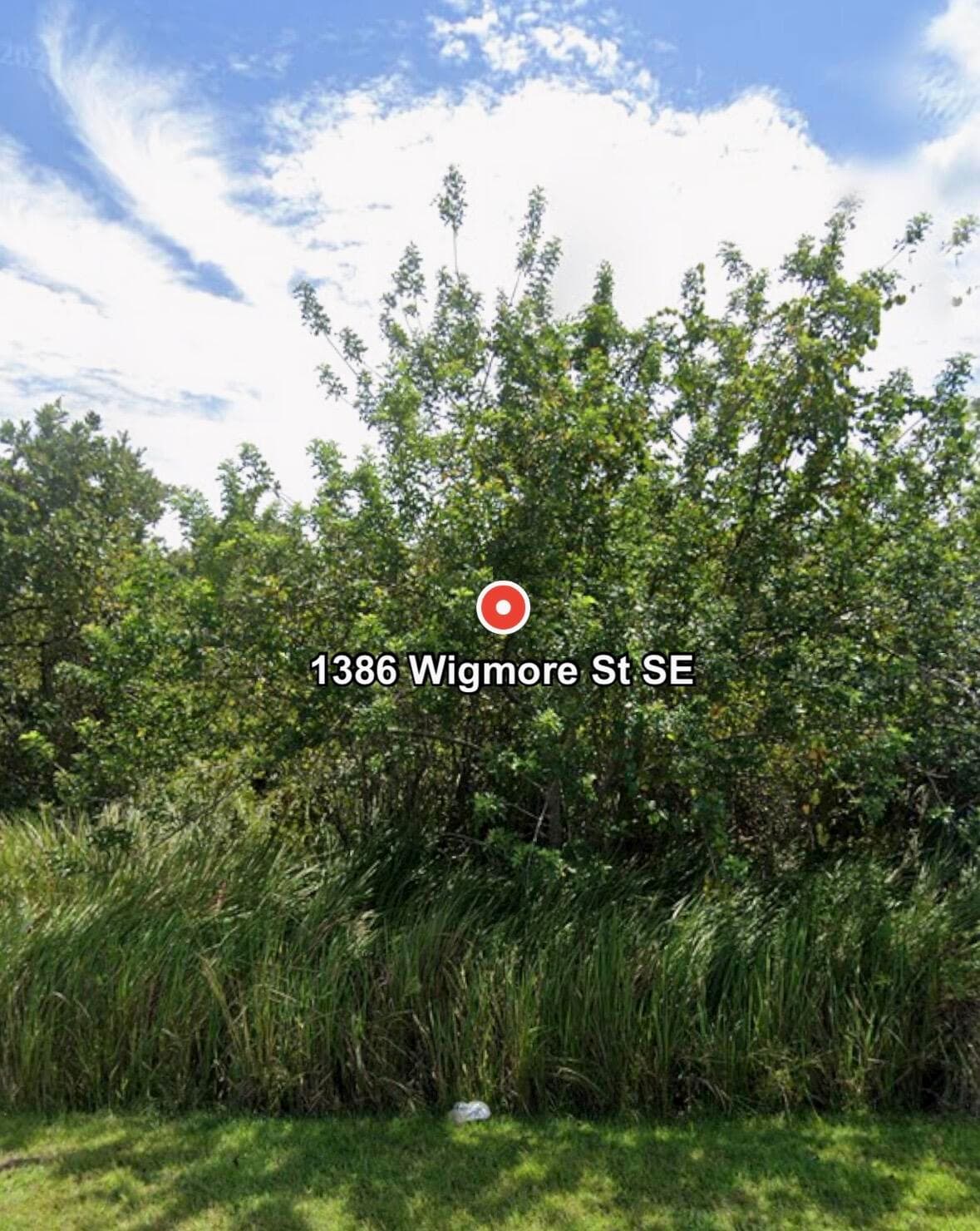 1386 SE Wigmore St Street SE, Palm Bay, FL 32909 — photo 1 of 8