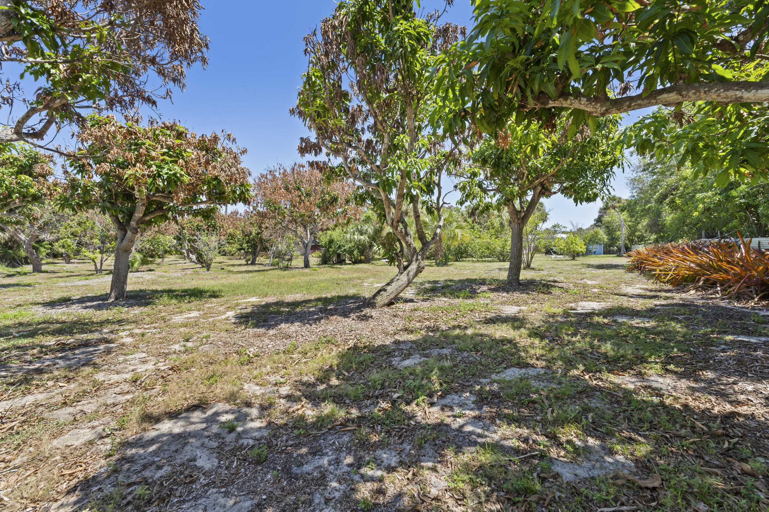 2614 NE Palm Avenue, Jensen Beach, FL 34957 — photo 3 of 14