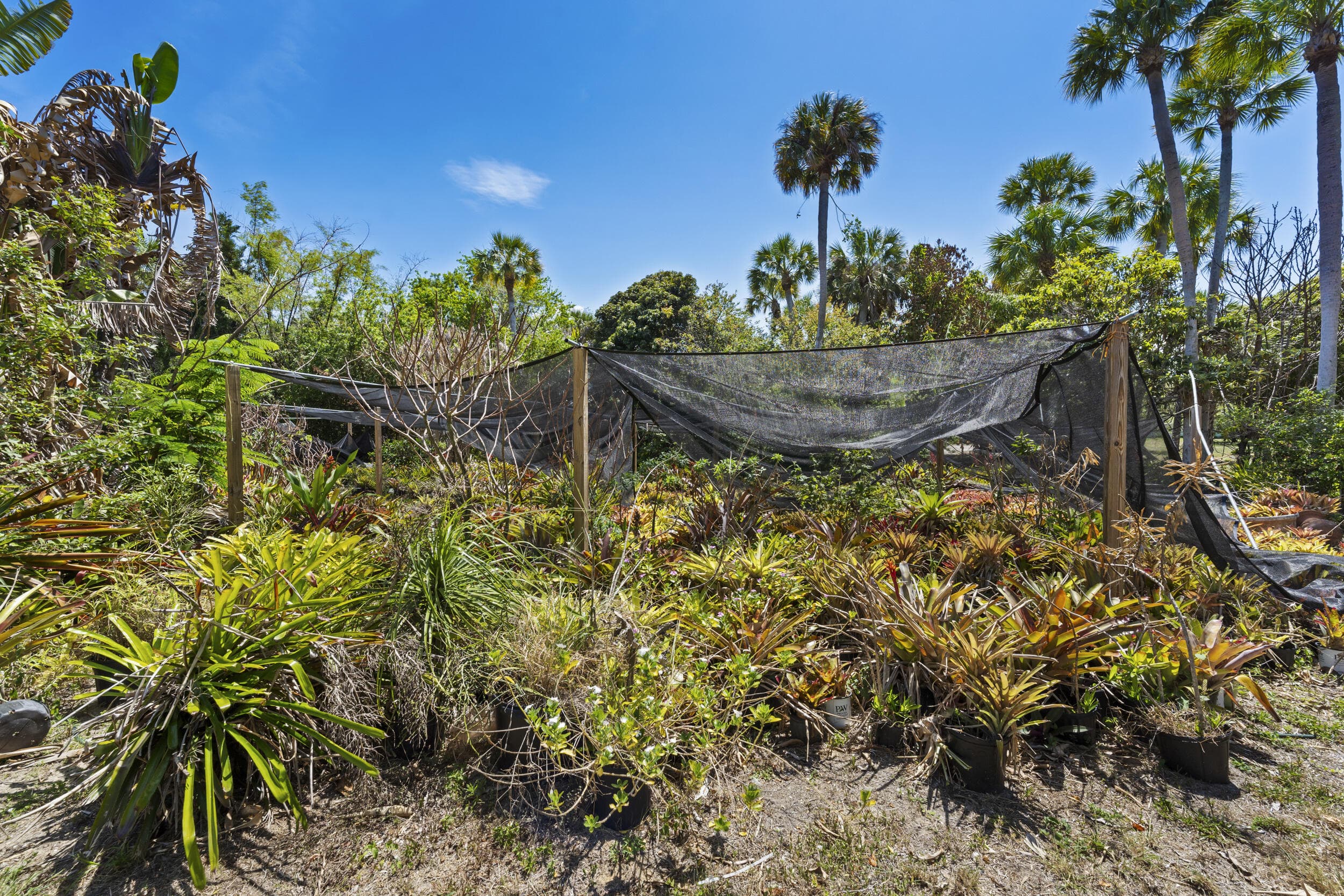 2614 NE Palm Avenue, Jensen Beach, FL 34957 — photo 5 of 14
