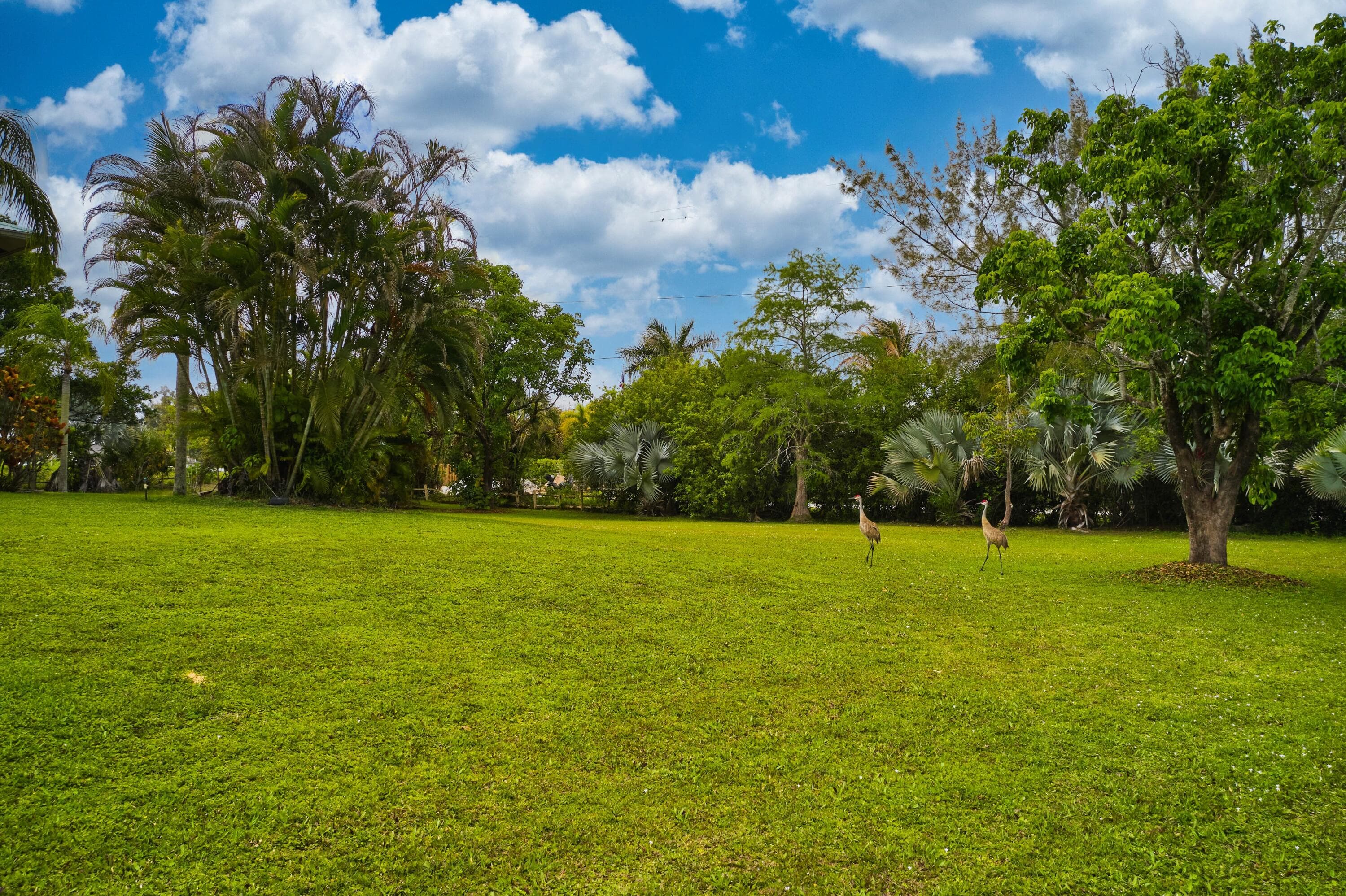 15419 N 89th Ave Avenue N, Palm Beach Gardens, FL 33418 — photo 14 of 14