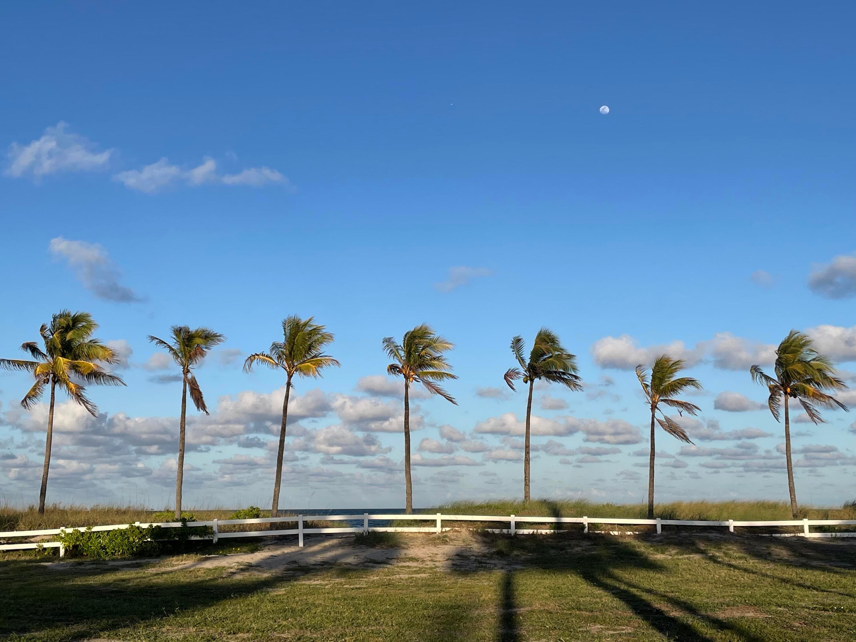 4629 Poinciana Street 317, Lauderdale-By-The-Sea, FL 33308 — photo 46 of 46