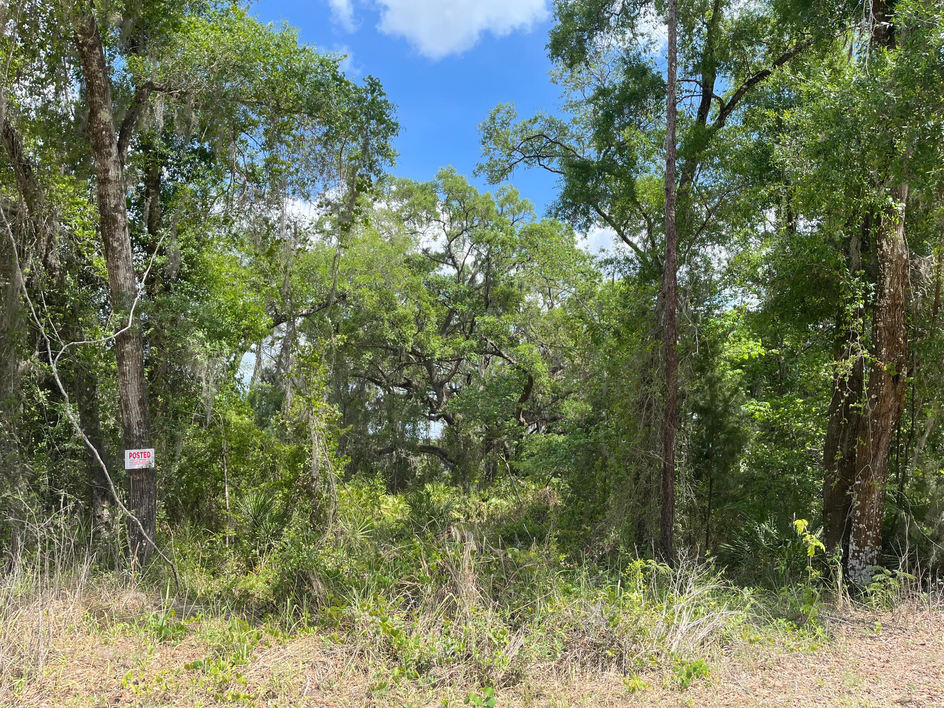 69 SE Se Terrace, Trenton, FL 32693 — photo 2 of 4