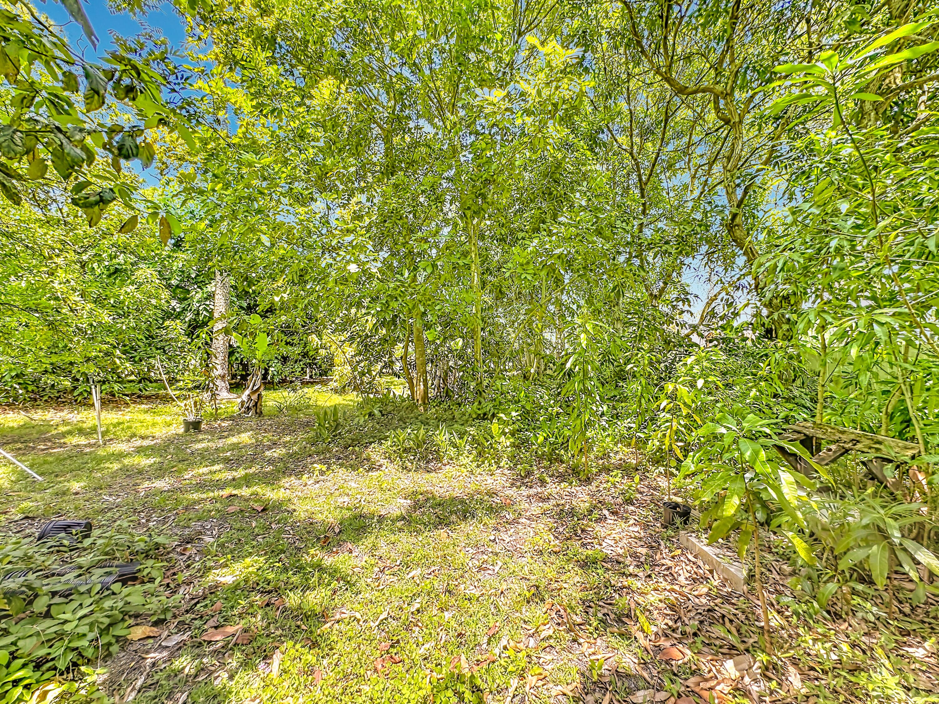12821 N 86th Rd Road N, The Acreage, FL 33412 — photo 49 of 58