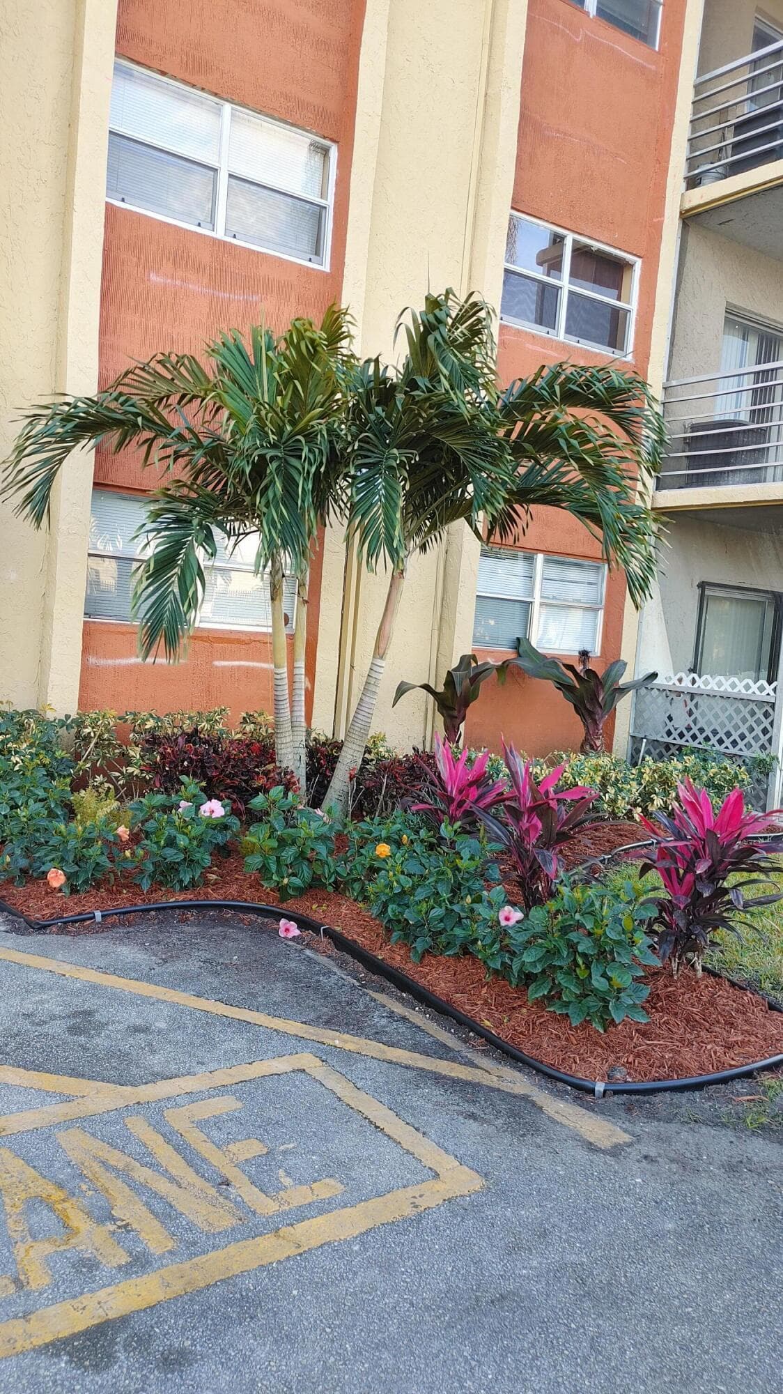 3610 NW 21st Street 308, Lauderdale Lakes, FL 33311 — photo 2 of 4