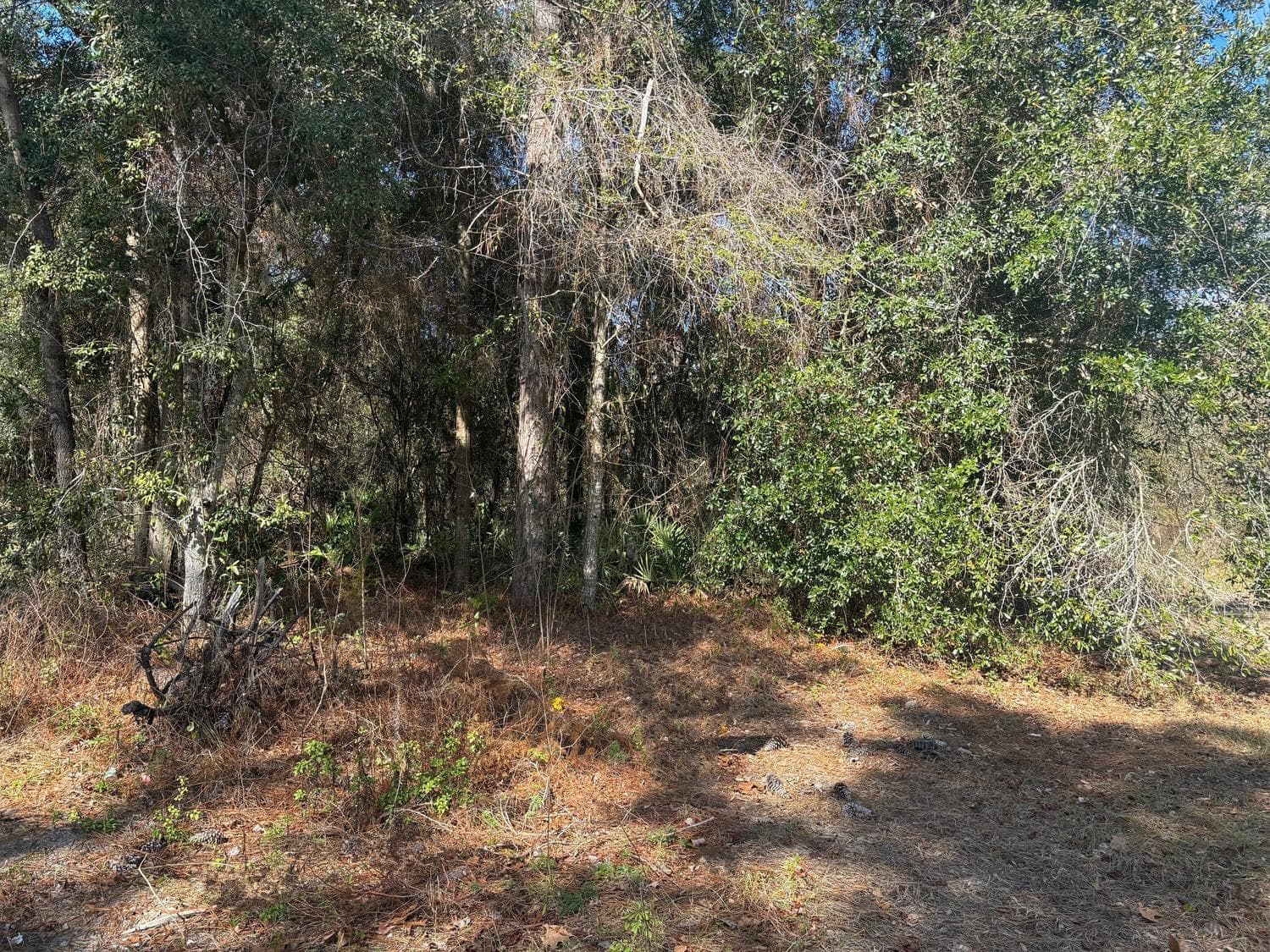 7178 W Wildfire Lane, Homosassa, FL 34448 — photo 2 of 3